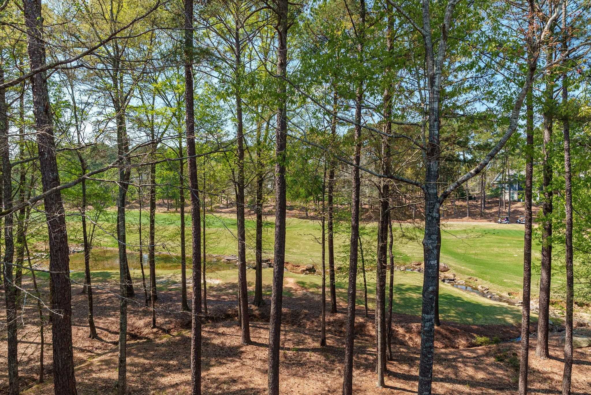 1040E TAILWATER image 36