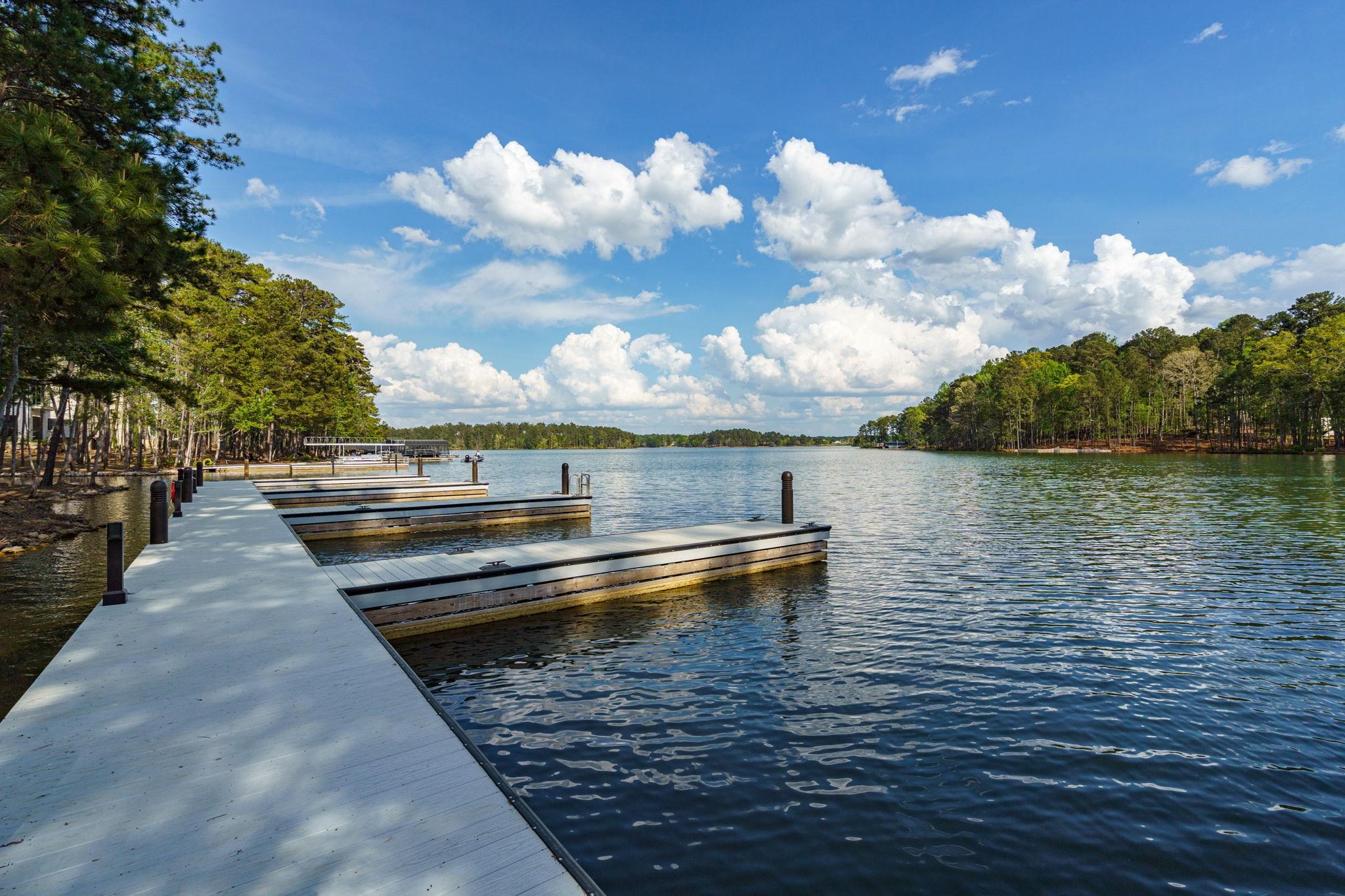 1091 LONGVIEW COMMONS image 2