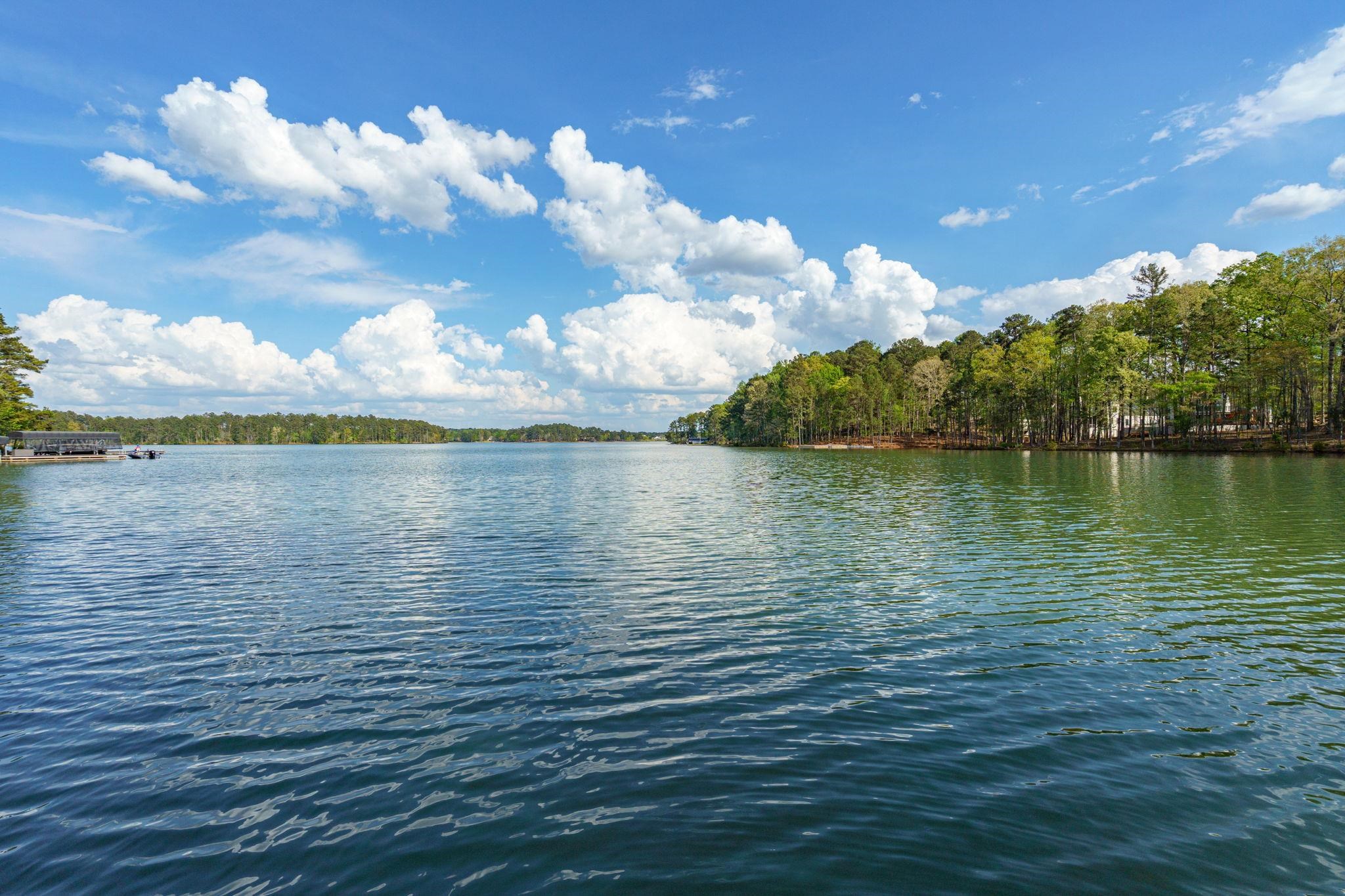 1091 LONGVIEW COMMONS image 51