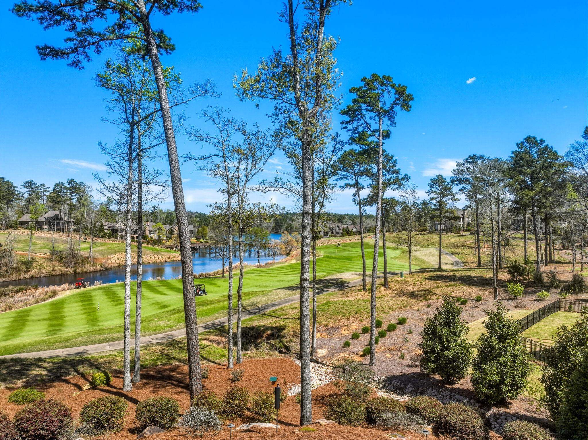 1240 ROSE CREEK image 6