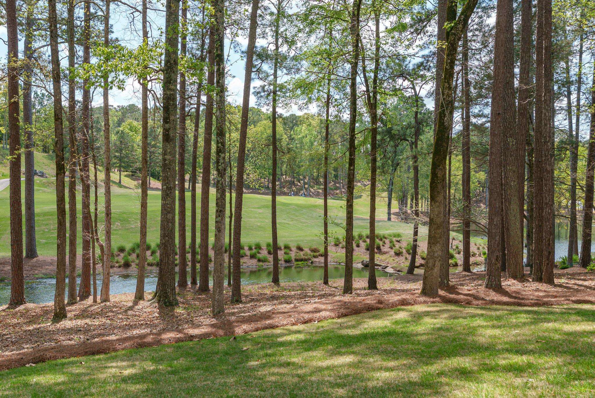 1080 QUAIL RIDGE WAY image 58