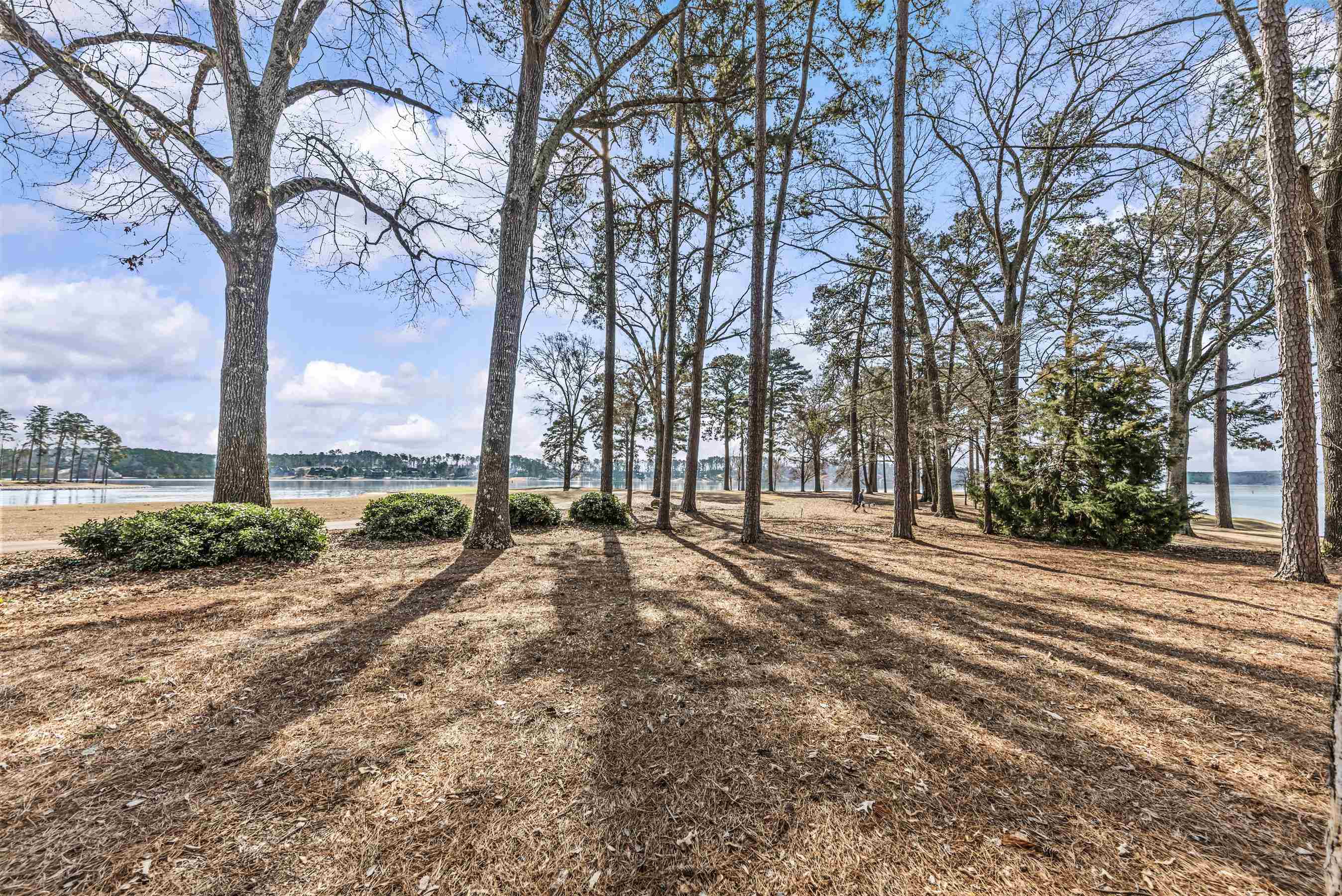 129 MILLPOND TRACE image 17