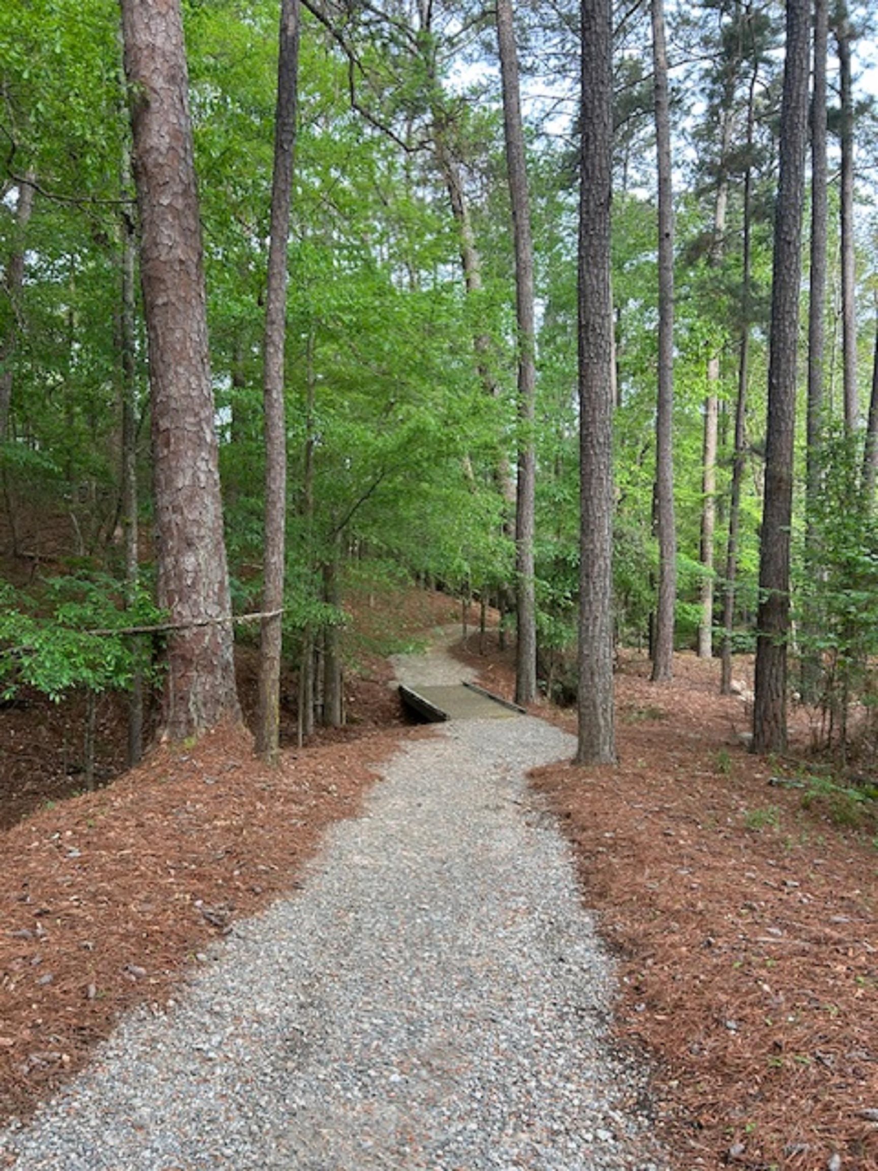 1020 JACKSON LANE image 7