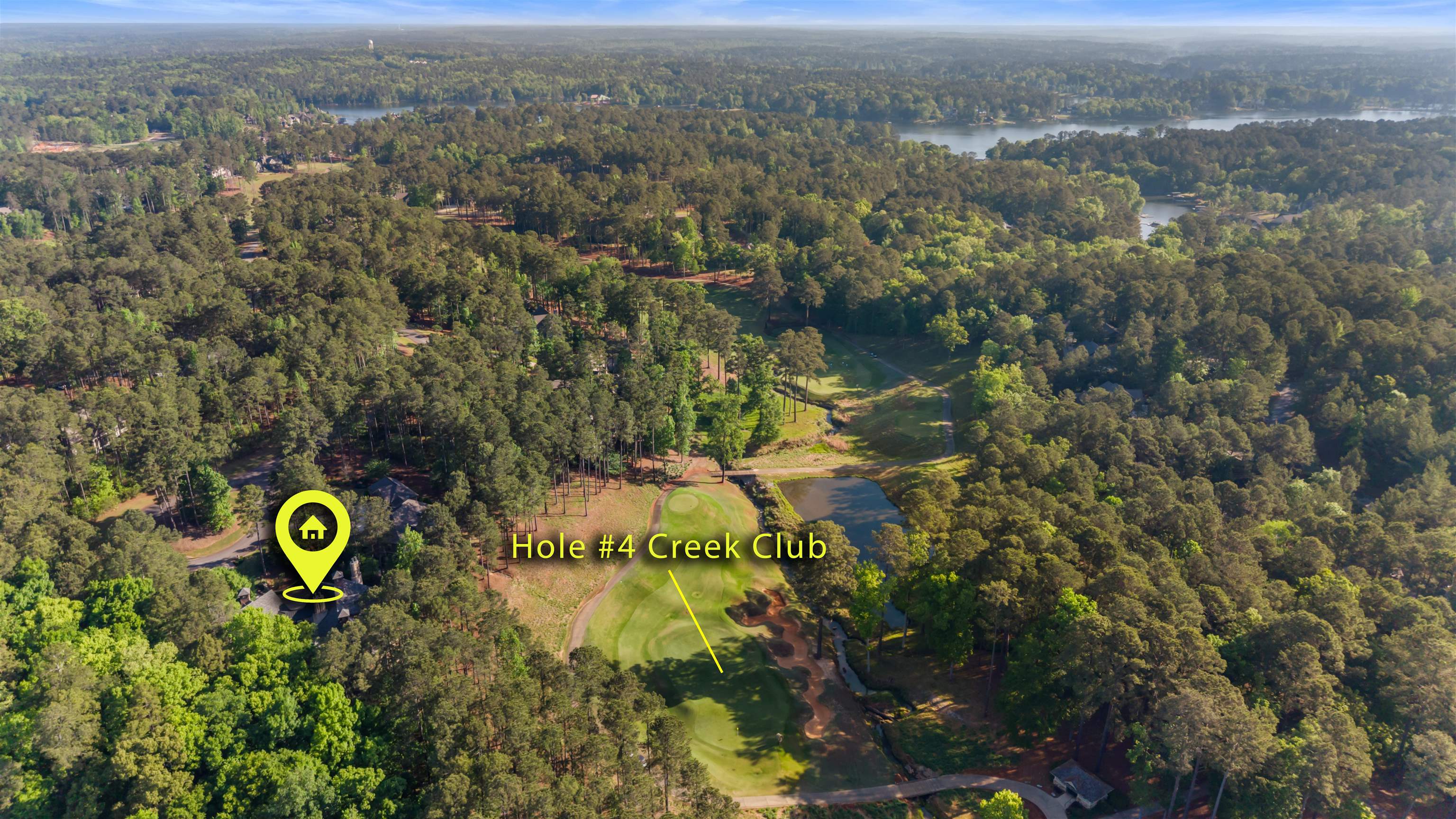 1090 SPRING CREEK image 13