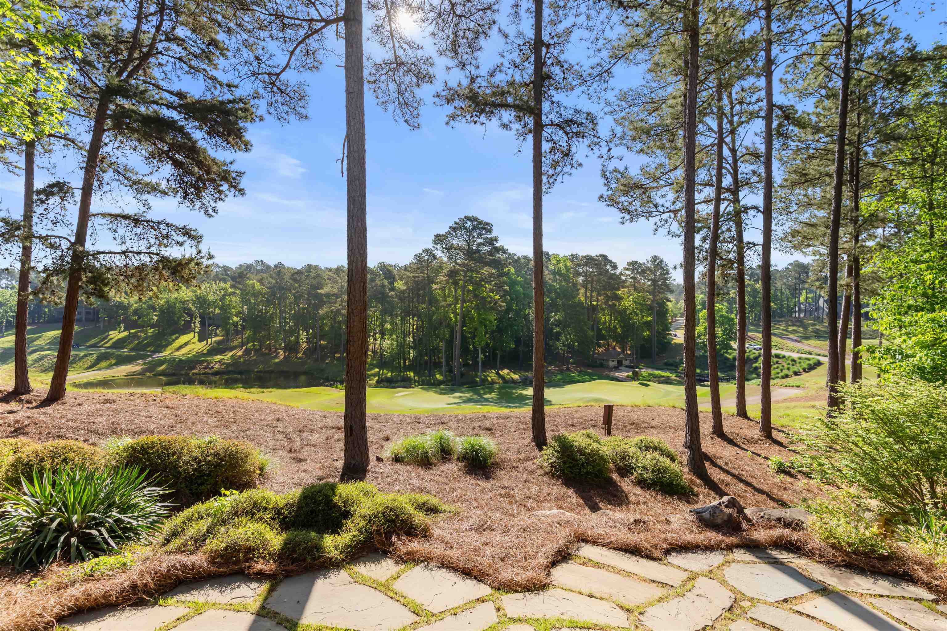 1090 SPRING CREEK image 36