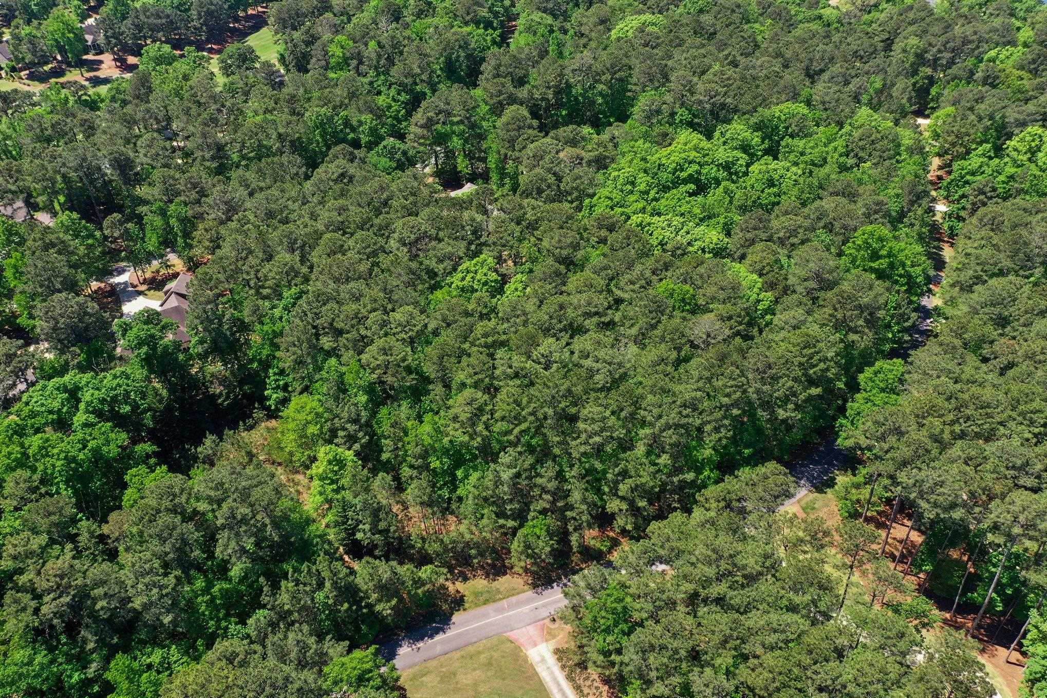 1490 Snug Harbor Drive image 11