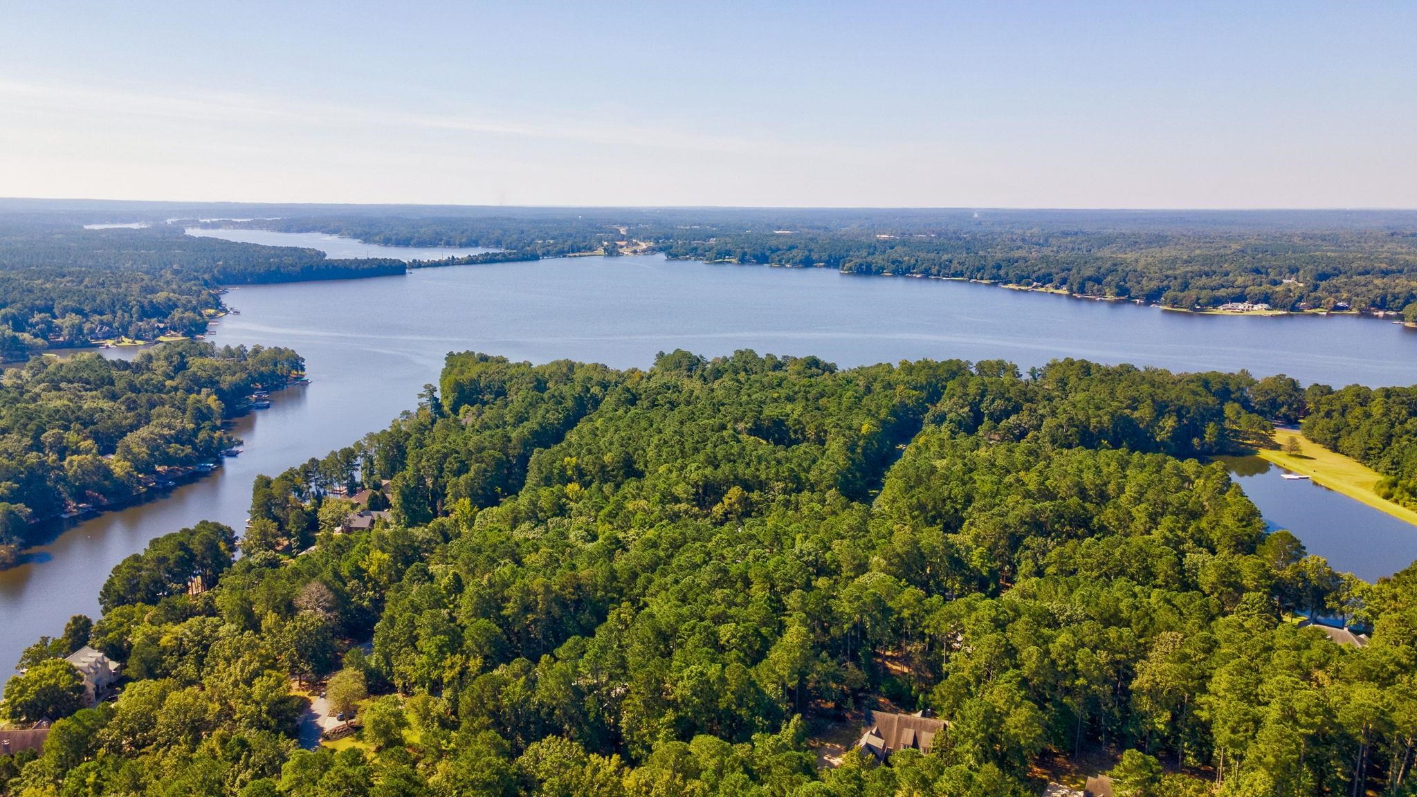 1101 CLUB COVE DRIVE image 66