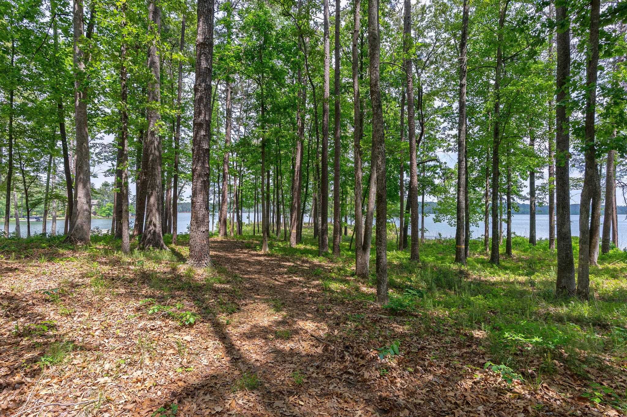 1221 Curtright Place image 7