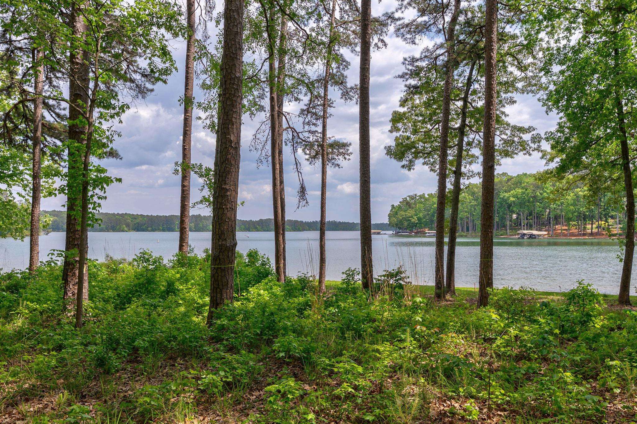 1221 Curtright Place image 8