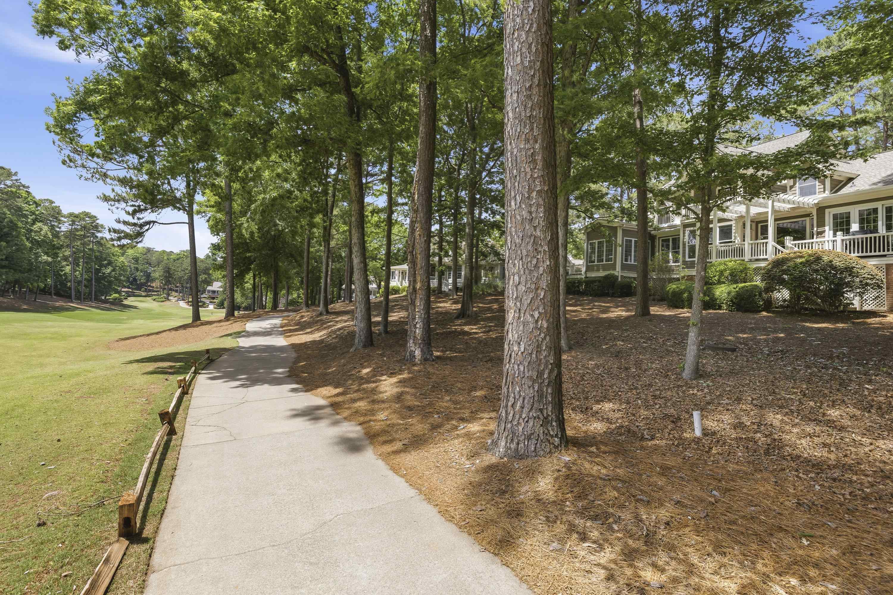 1039 PLANTERS TRAIL image 11