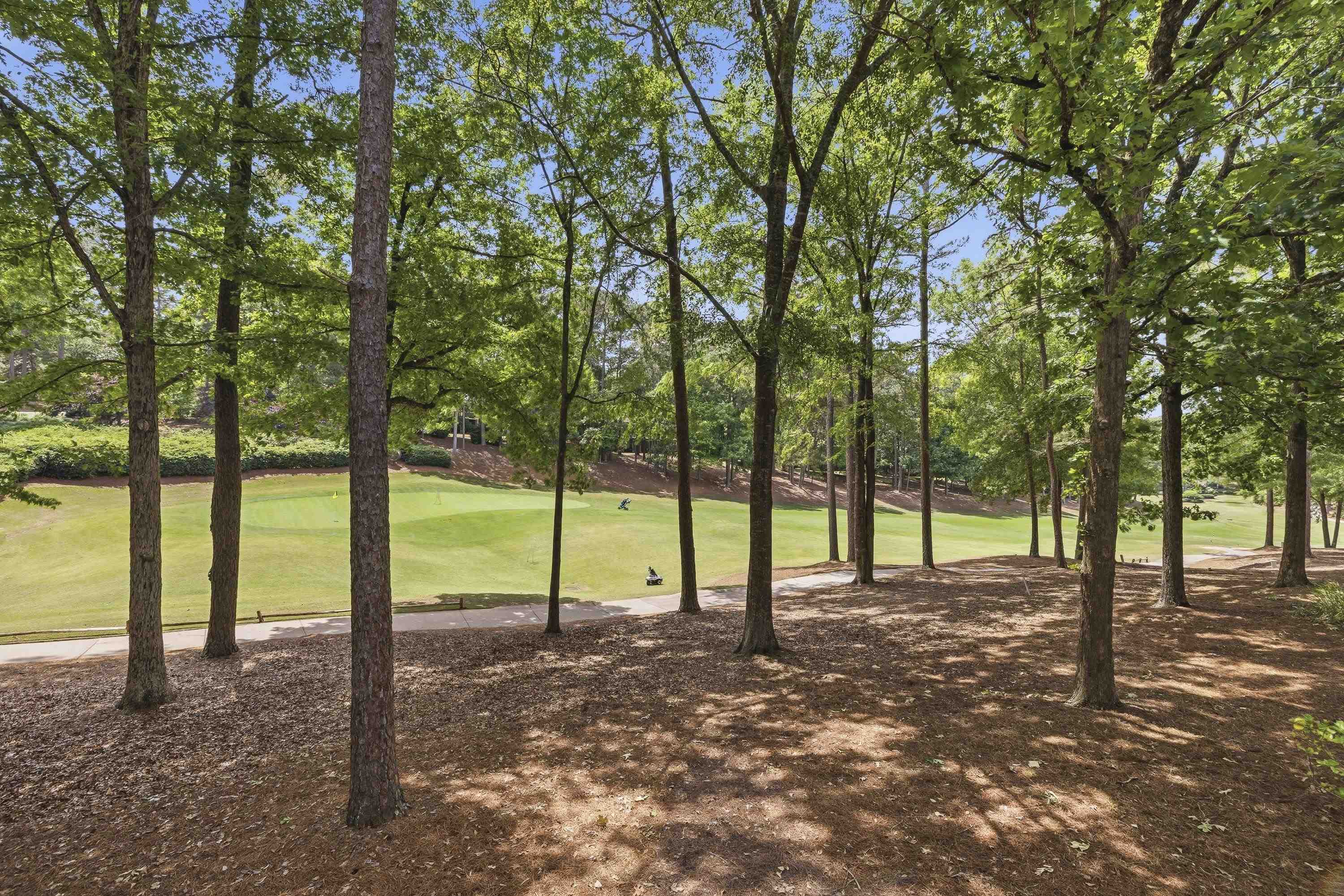 1039 PLANTERS TRAIL image 12