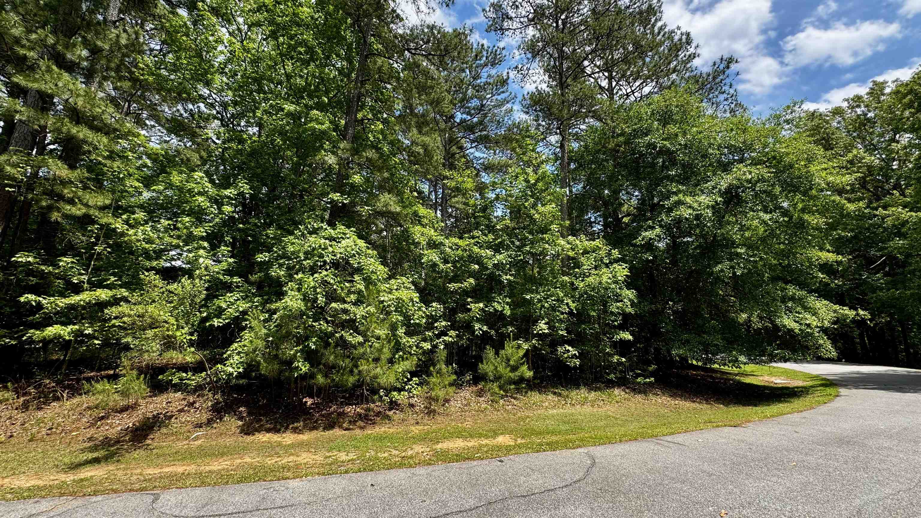 1270 Fairway Ridge Drive image 1