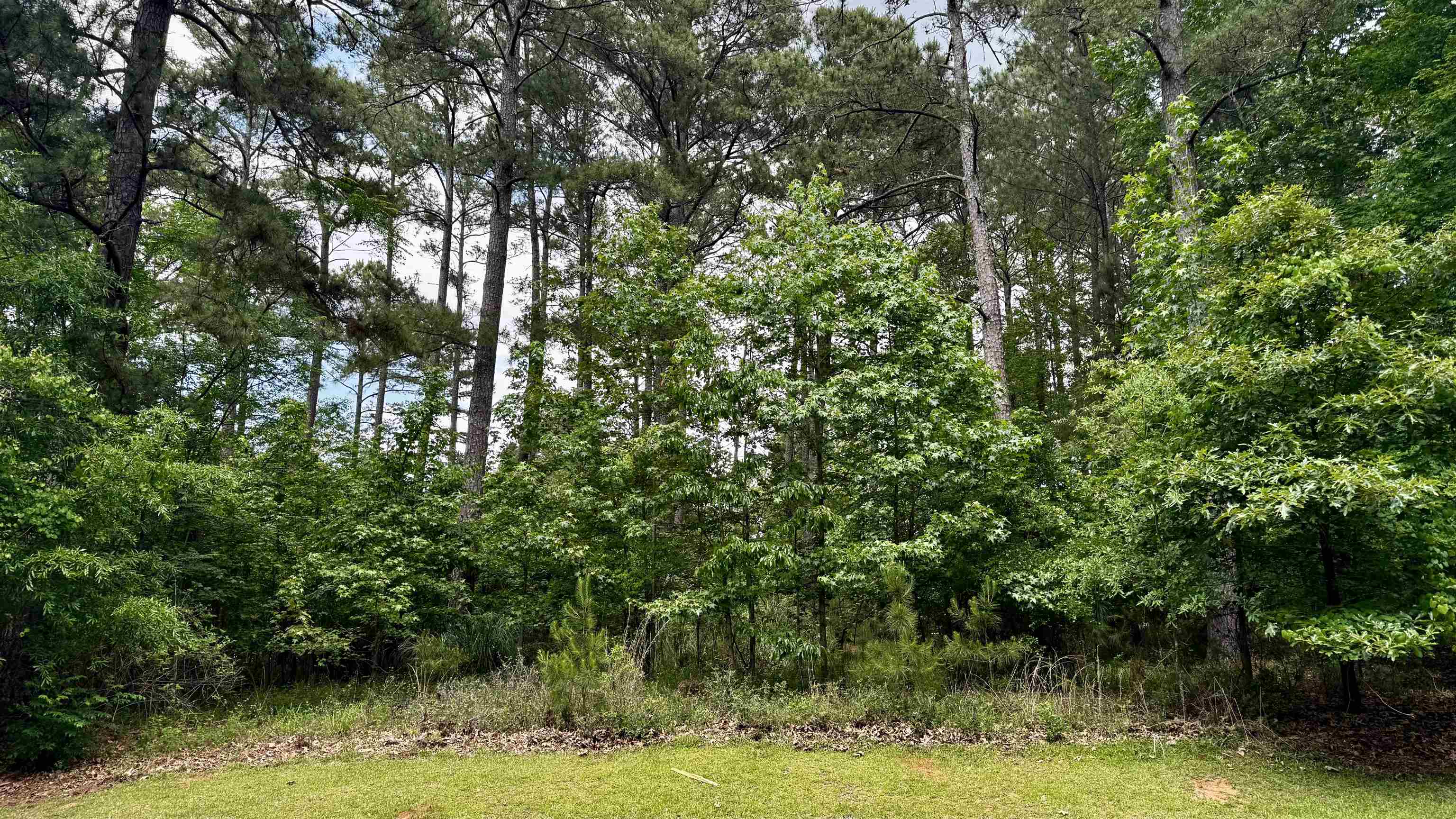 1270 Fairway Ridge Drive image 2