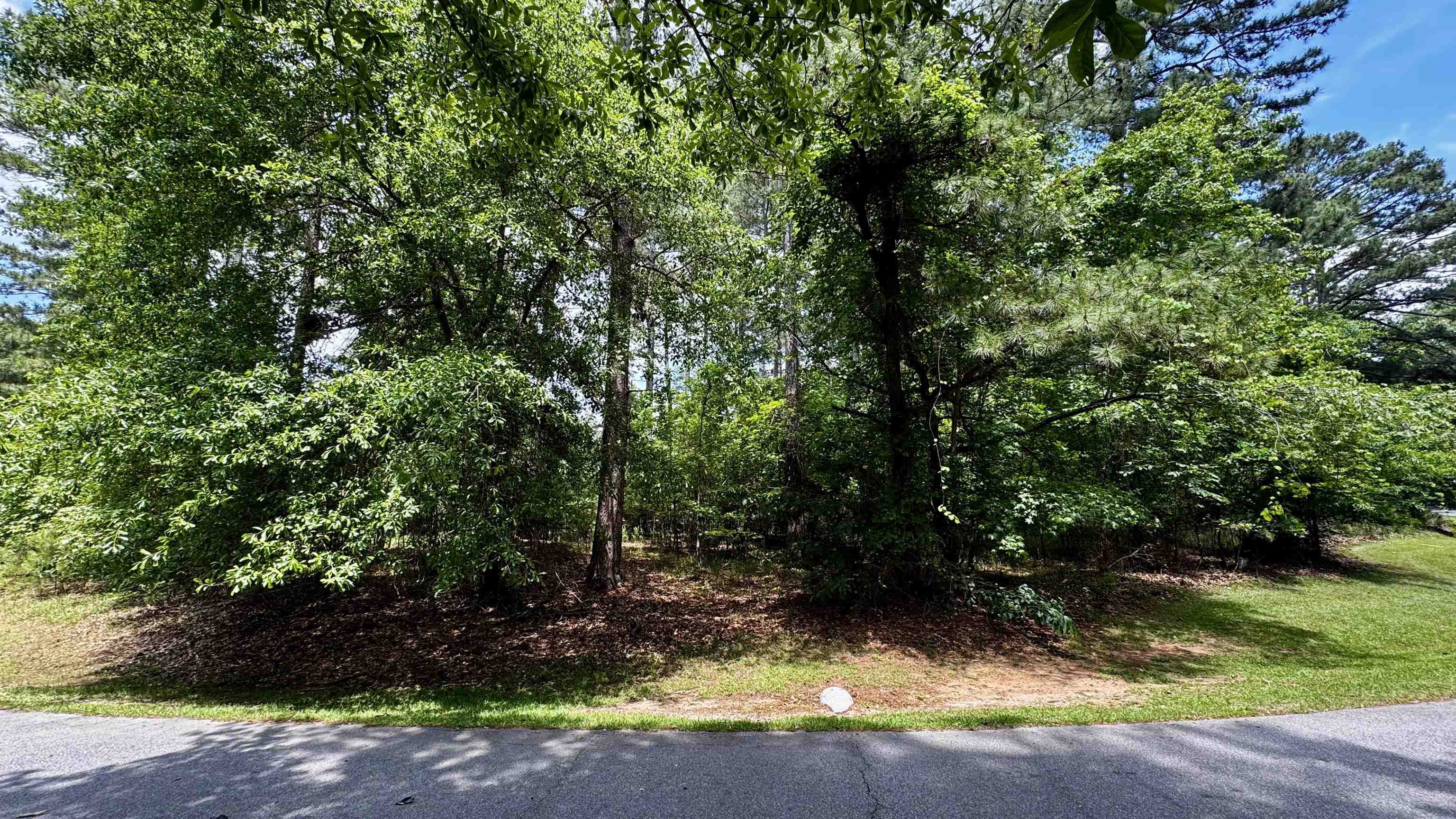 1270 Fairway Ridge Drive image 3