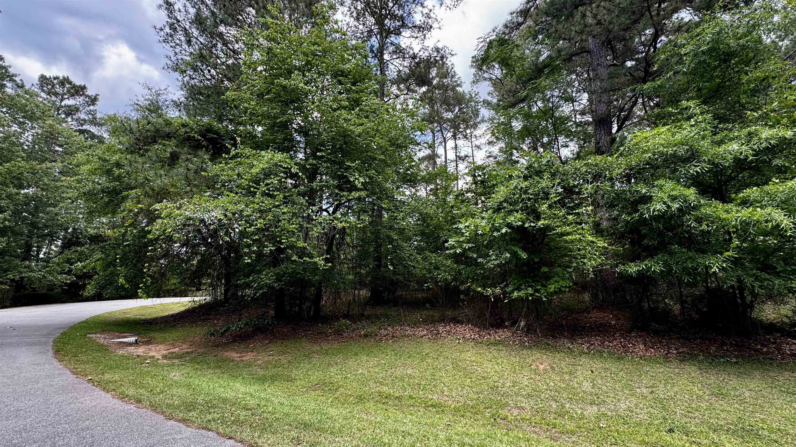 1270 Fairway Ridge Drive image 4