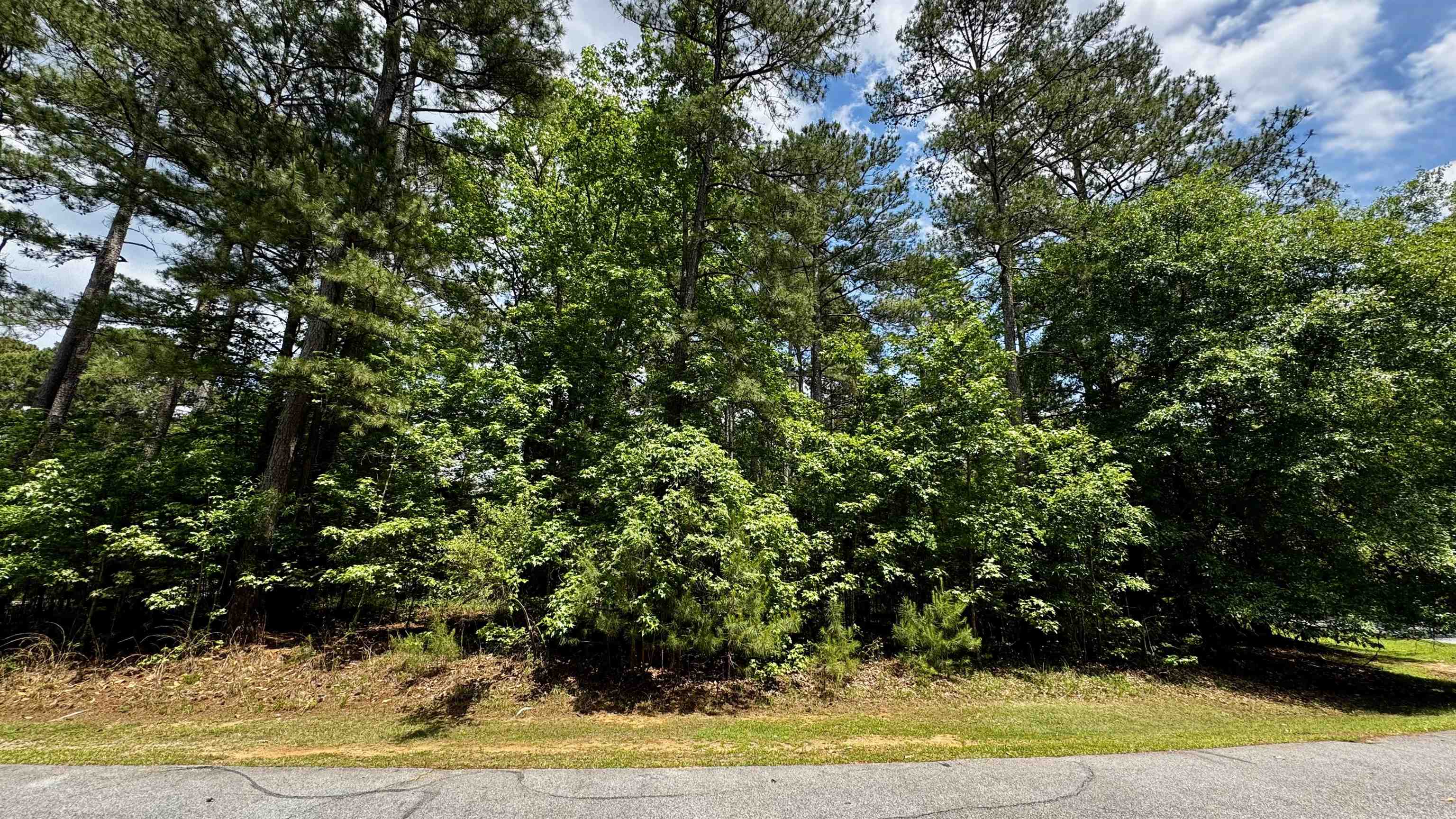 1270 Fairway Ridge Drive image 6