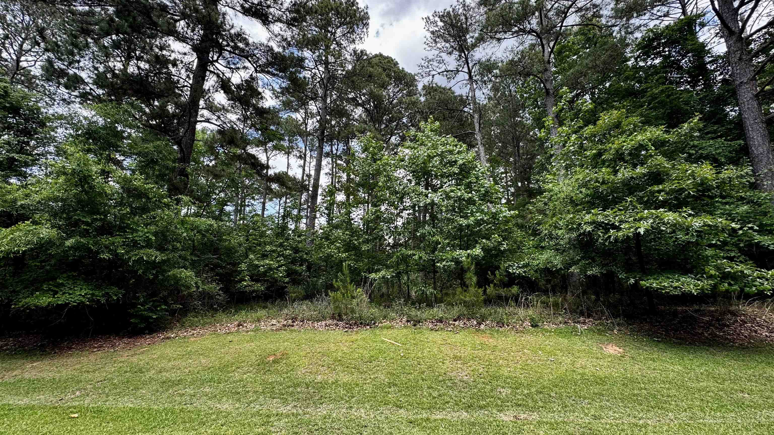 1270 Fairway Ridge Drive image 5