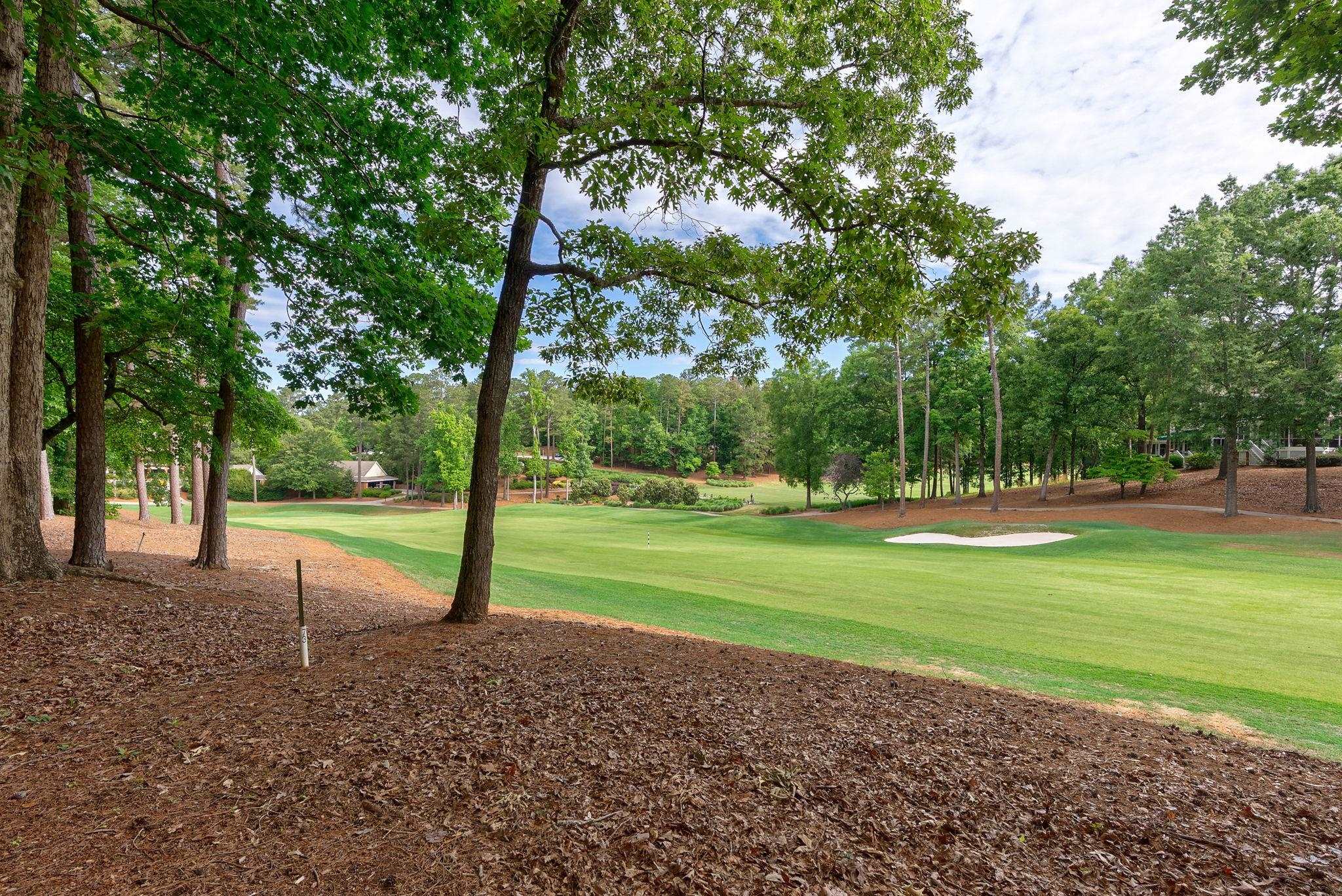 1021 PLANTERS LANE image 46