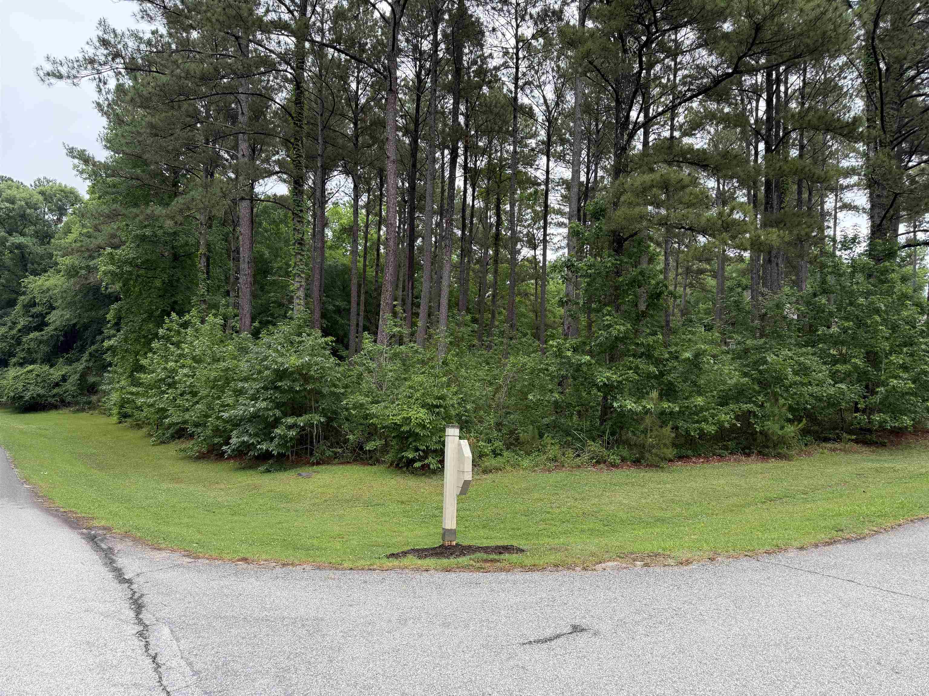 1110 Long Cove Drive image 1