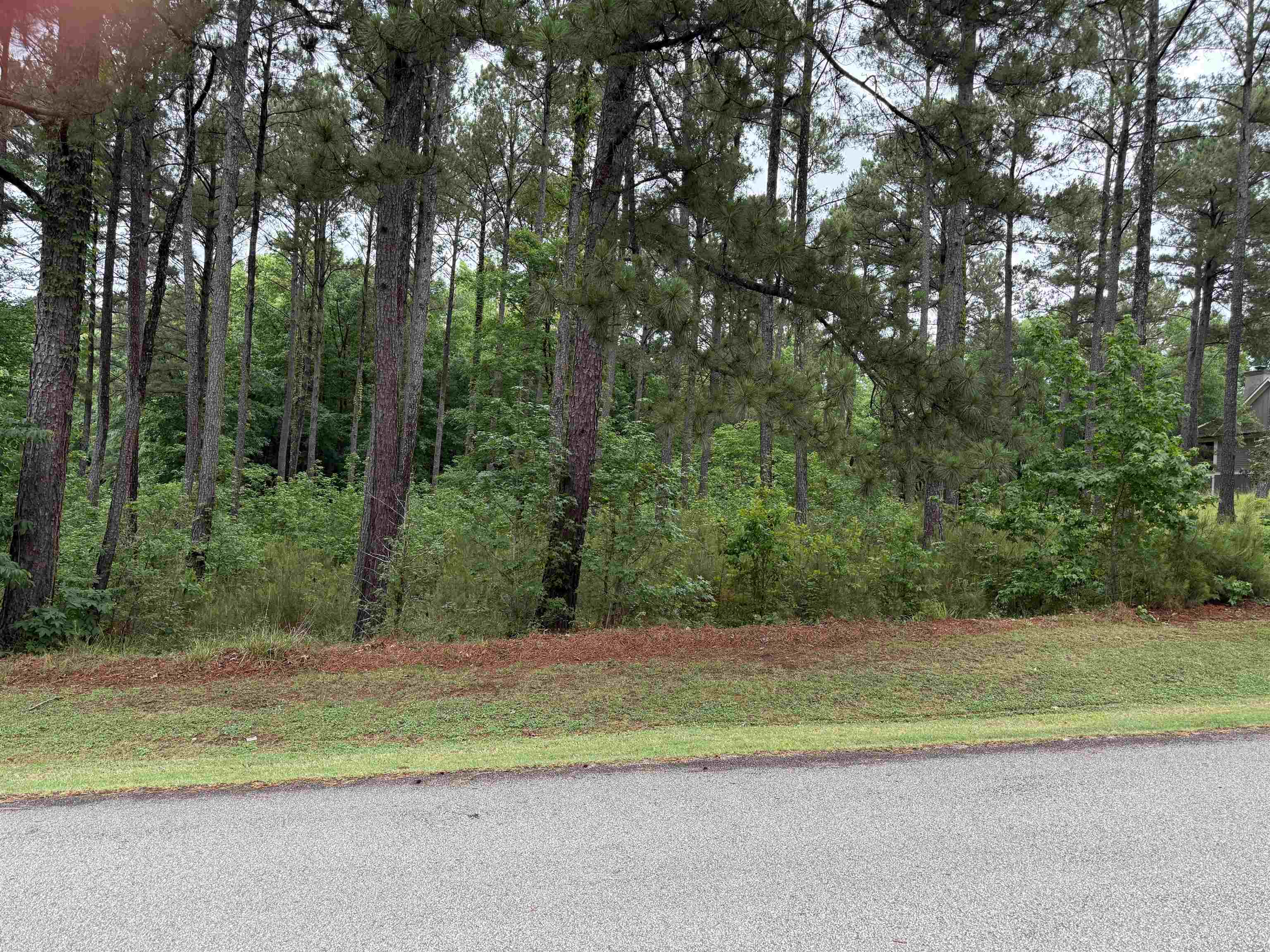 1110 Long Cove Drive image 3