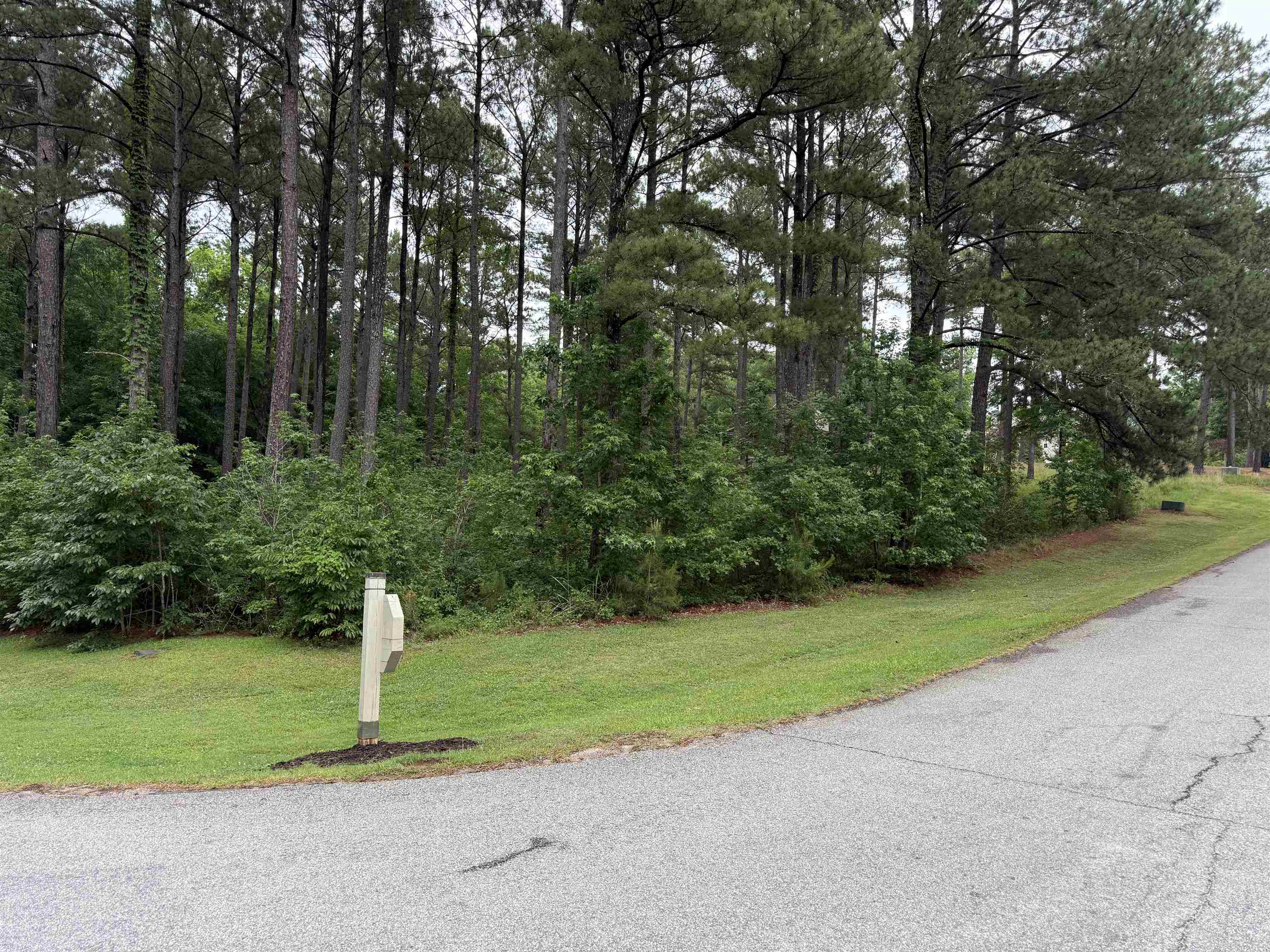 1110 Long Cove Drive image 2