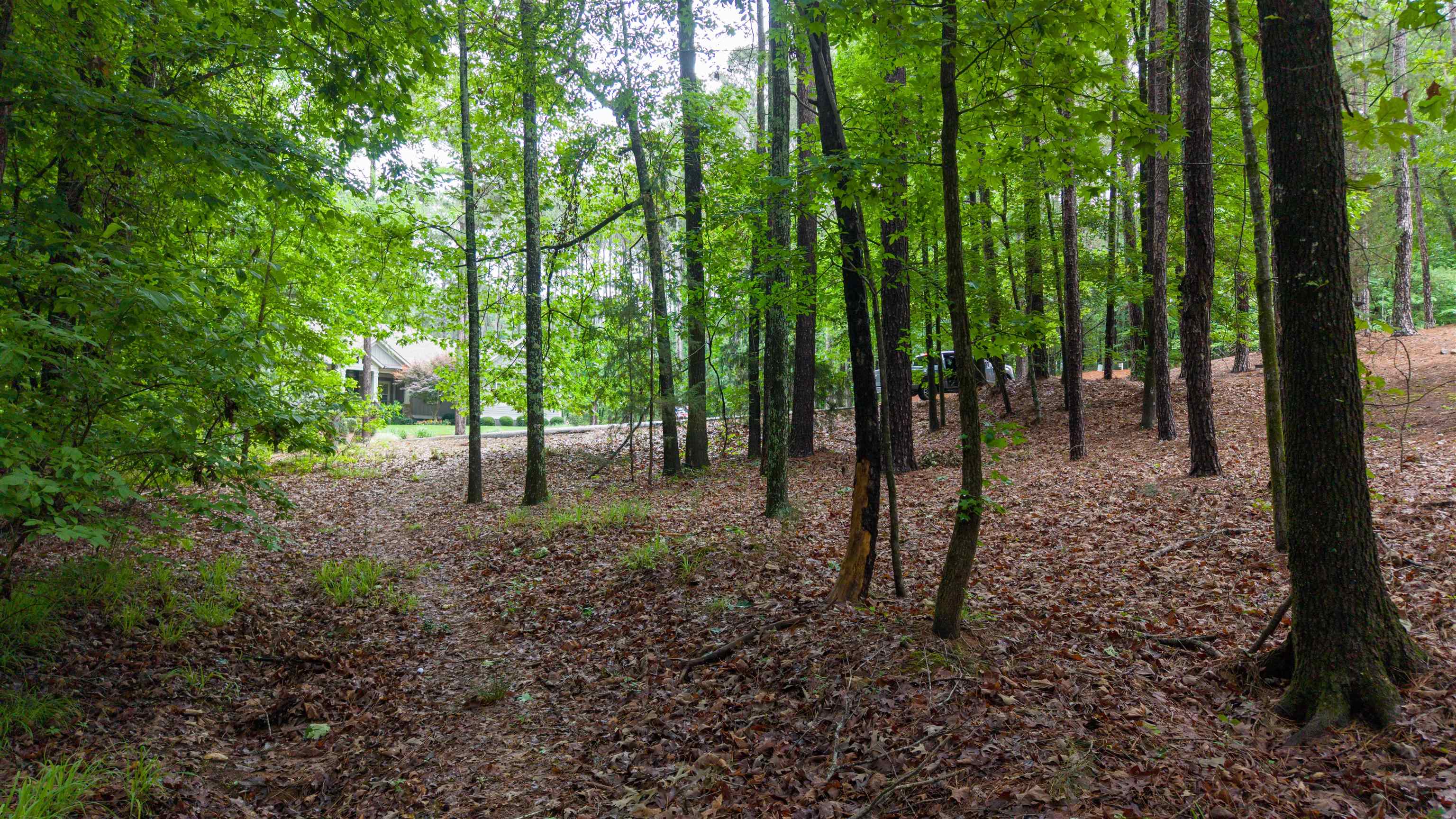 1031 Anchor Bay Point image 46