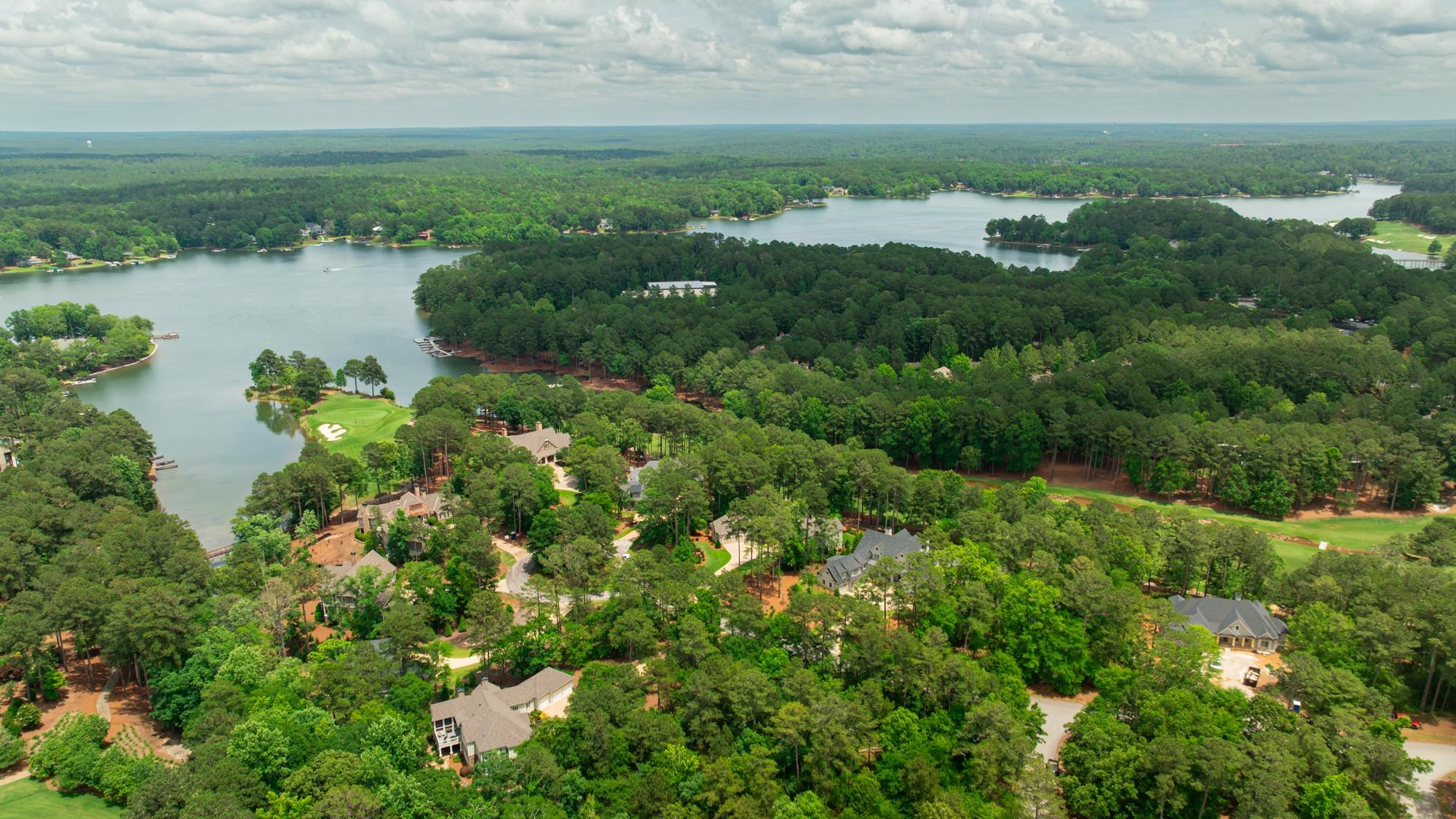 1161 SUGAR RUN image 7