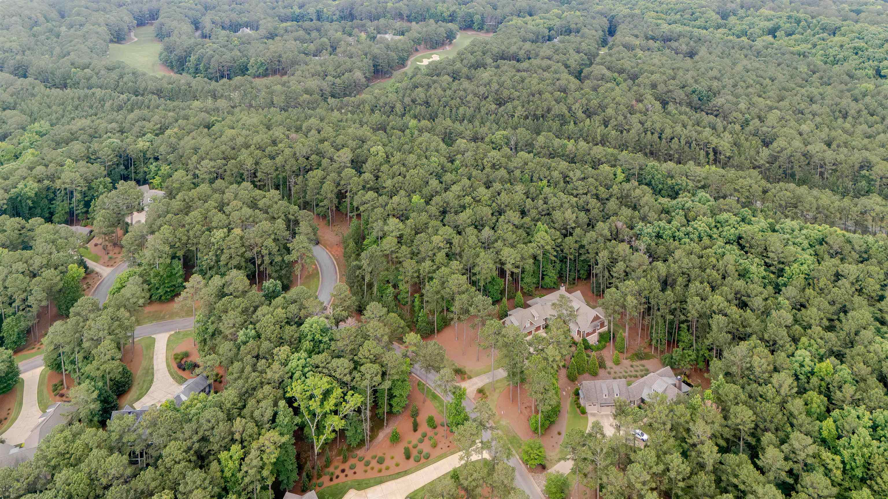 1080 Mill Creek image 4
