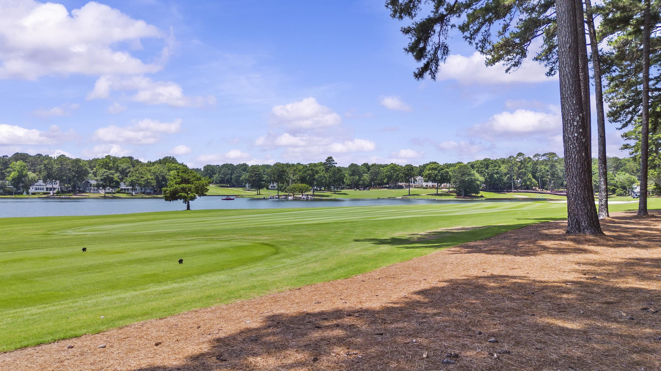 136 Porterfield Drive image 11
