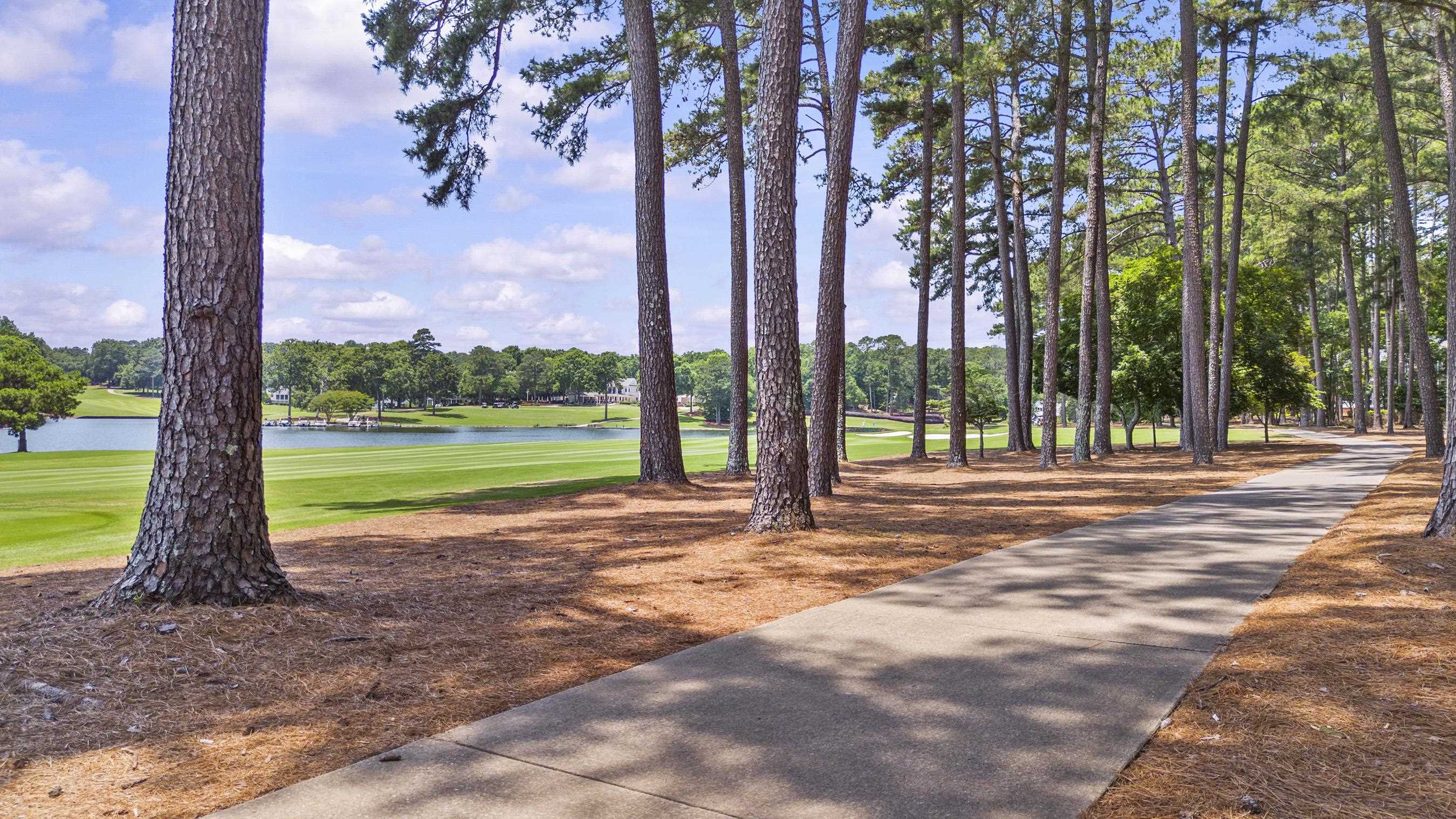 136 Porterfield Drive image 12
