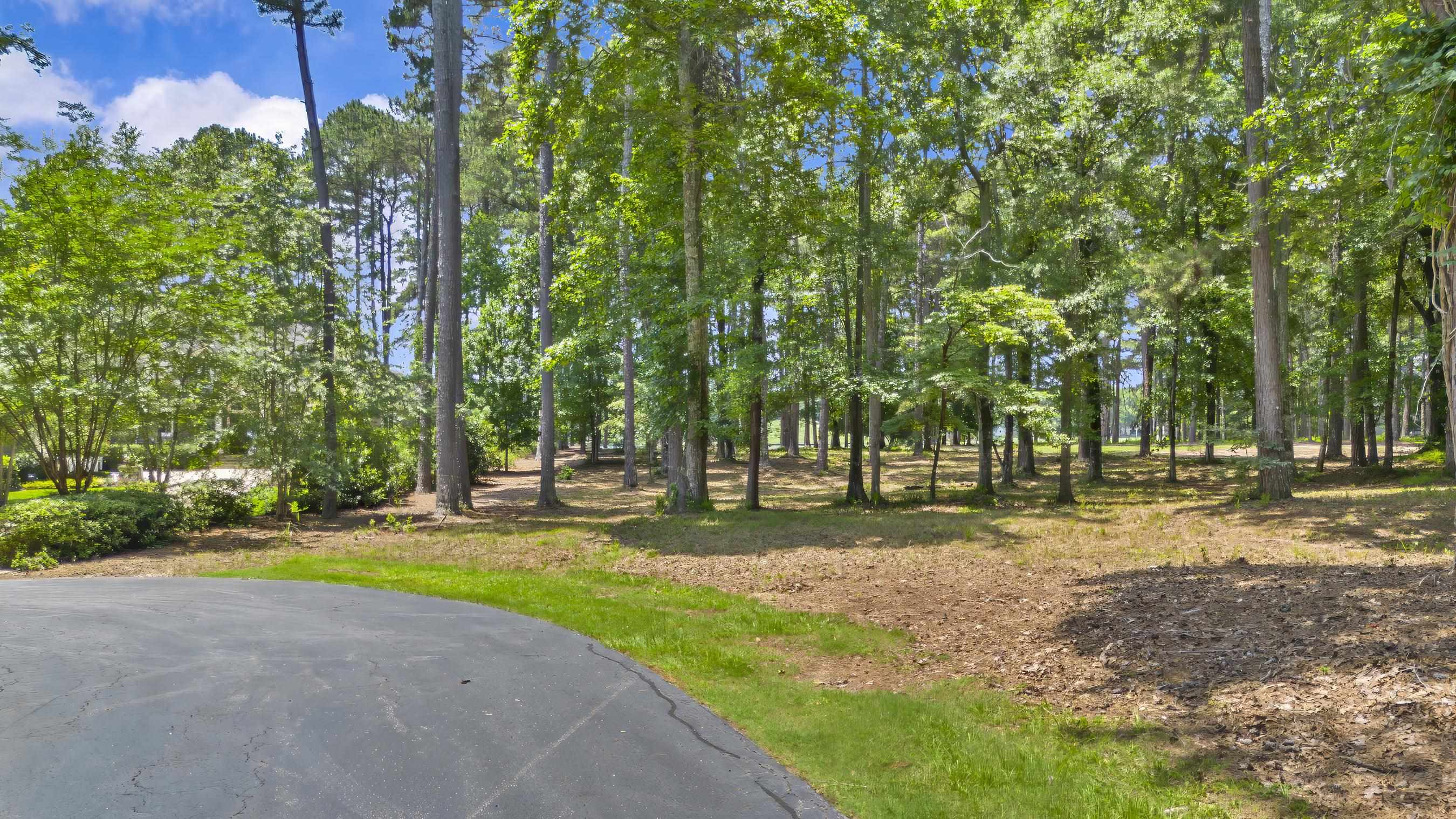 136 Porterfield Drive image 13
