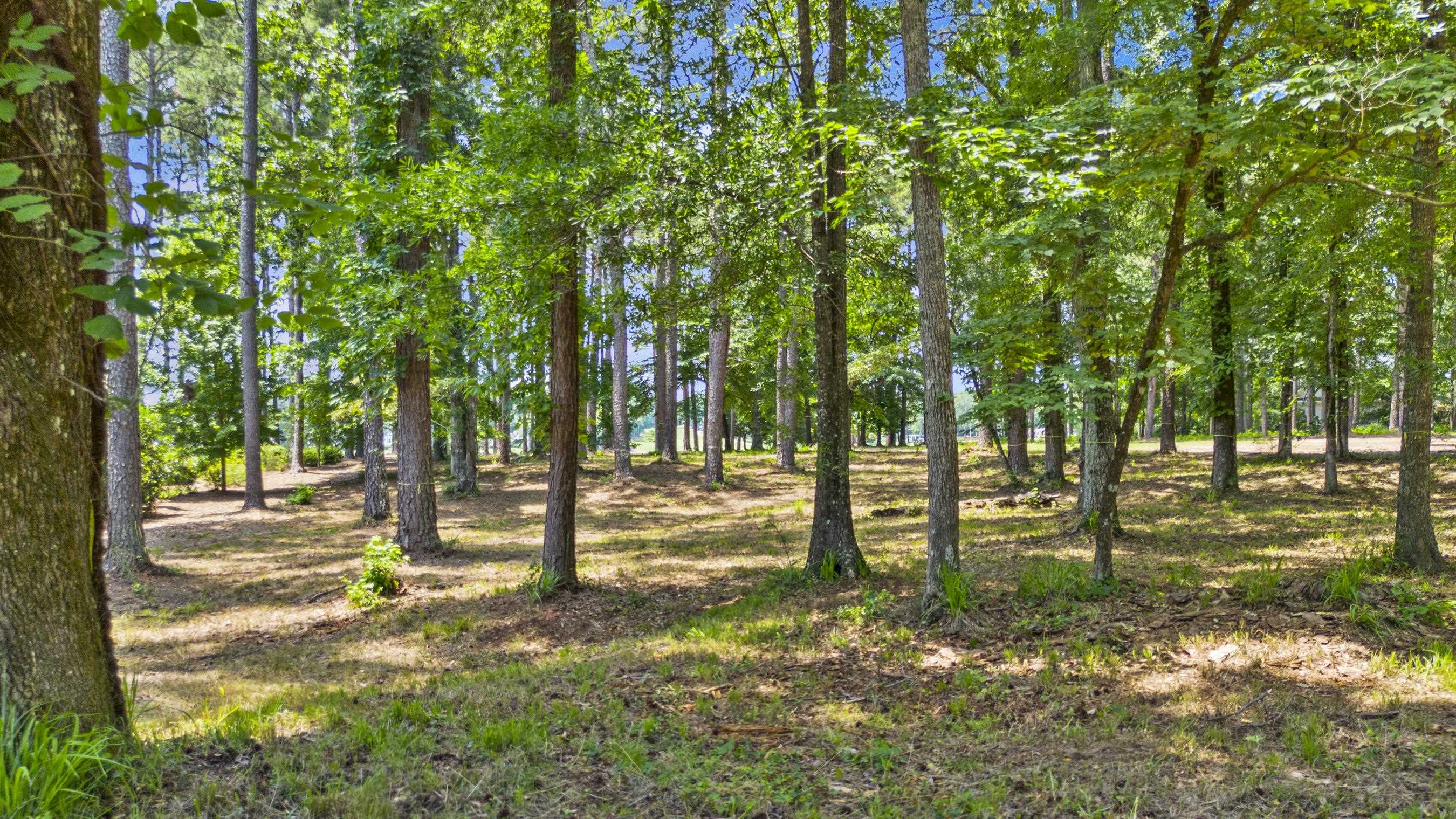 136 Porterfield Drive image 15