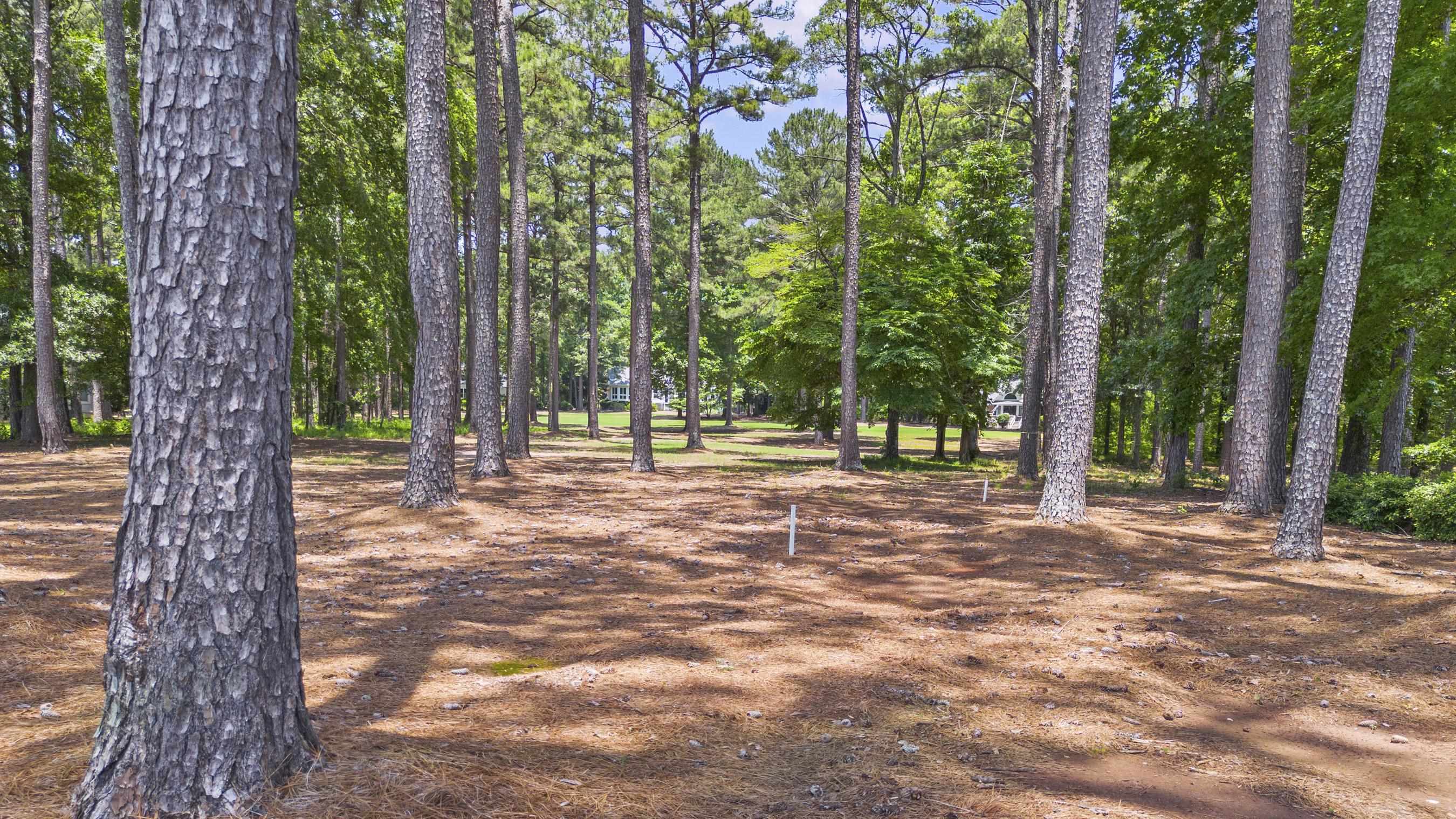 136 Porterfield Drive image 16