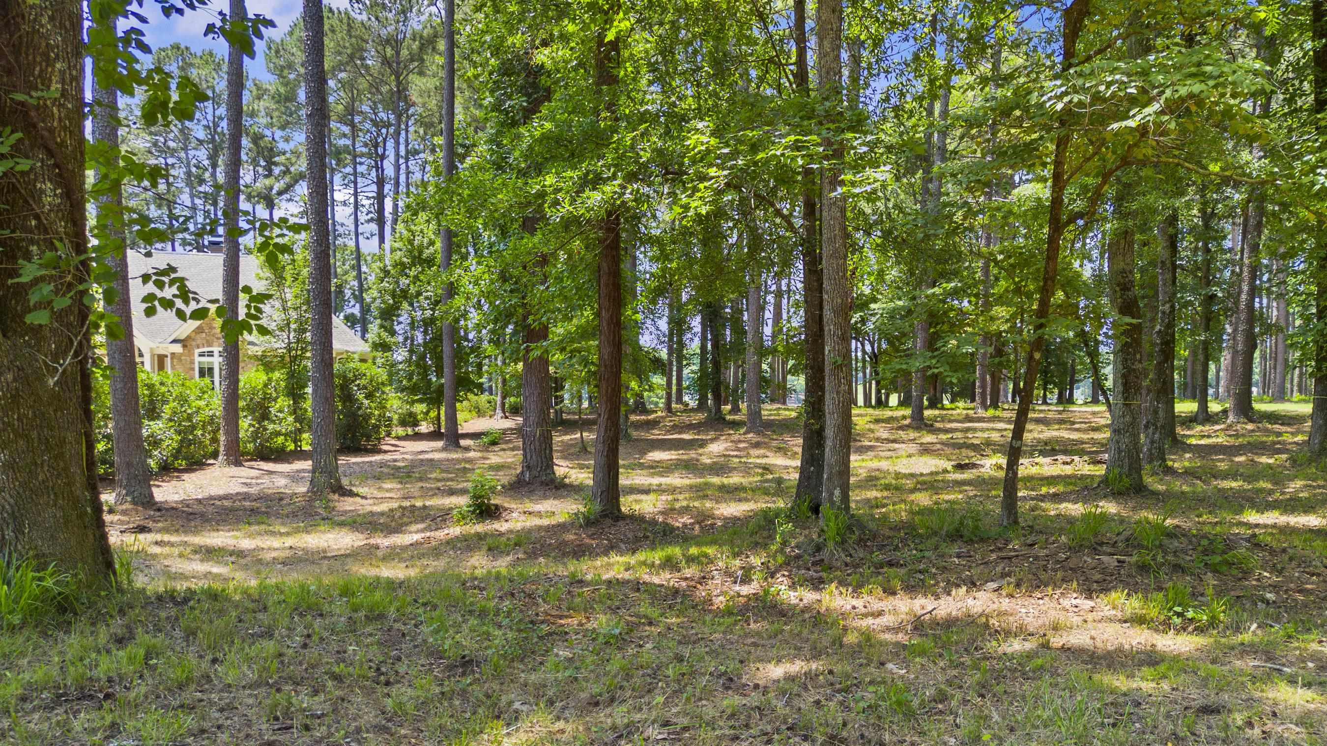 136 Porterfield Drive image 17