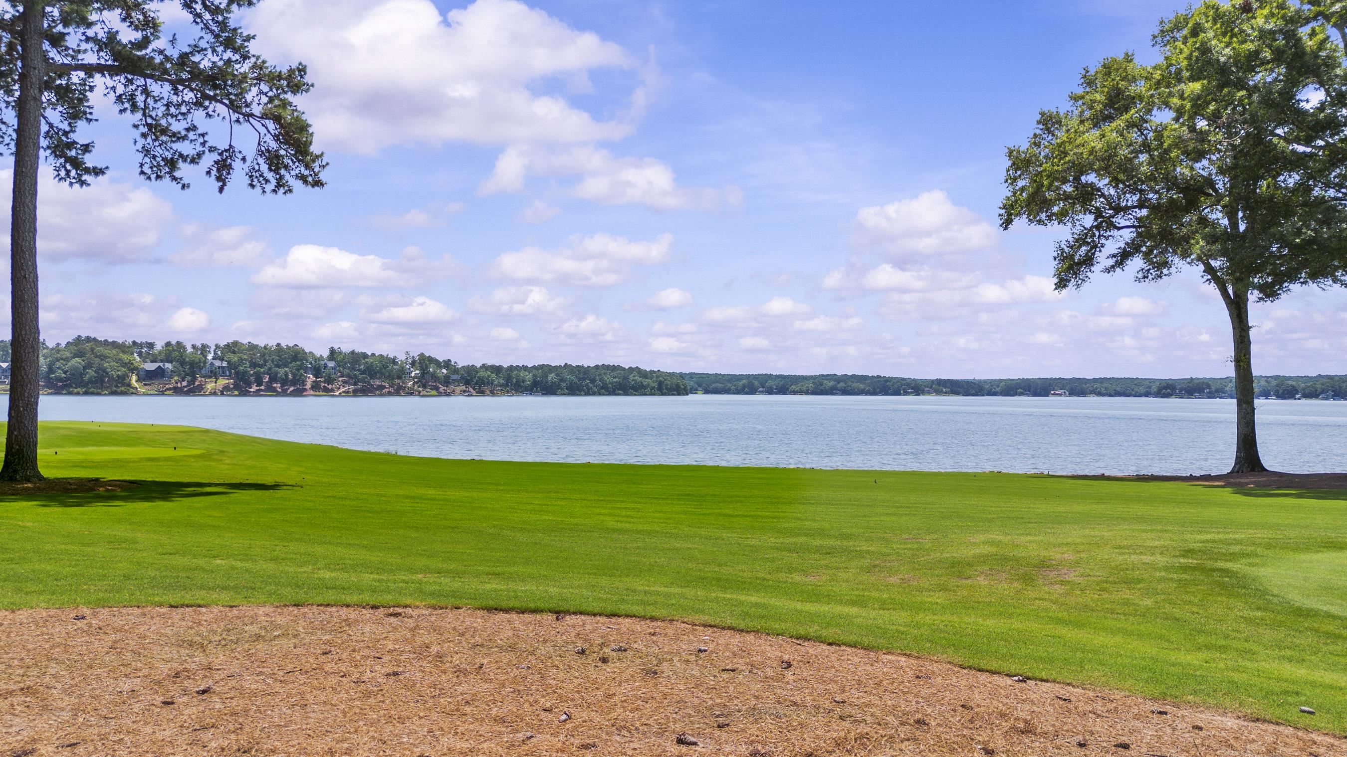 136 Porterfield Drive image 4