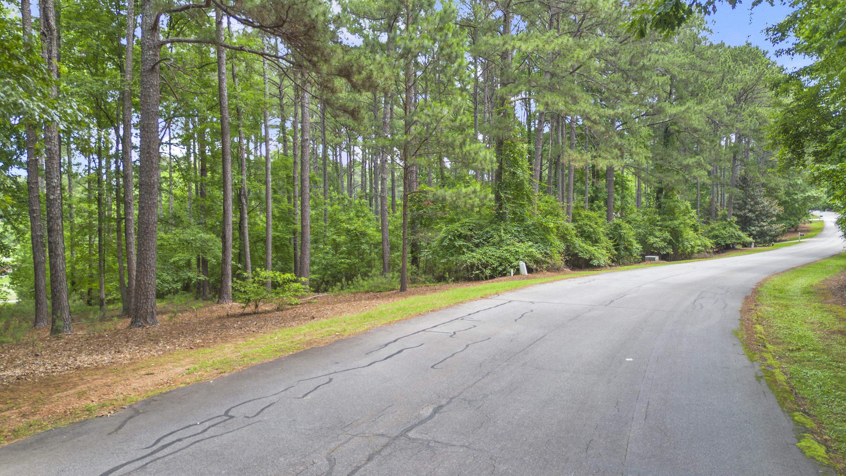 144 Hopeton Lane image 12