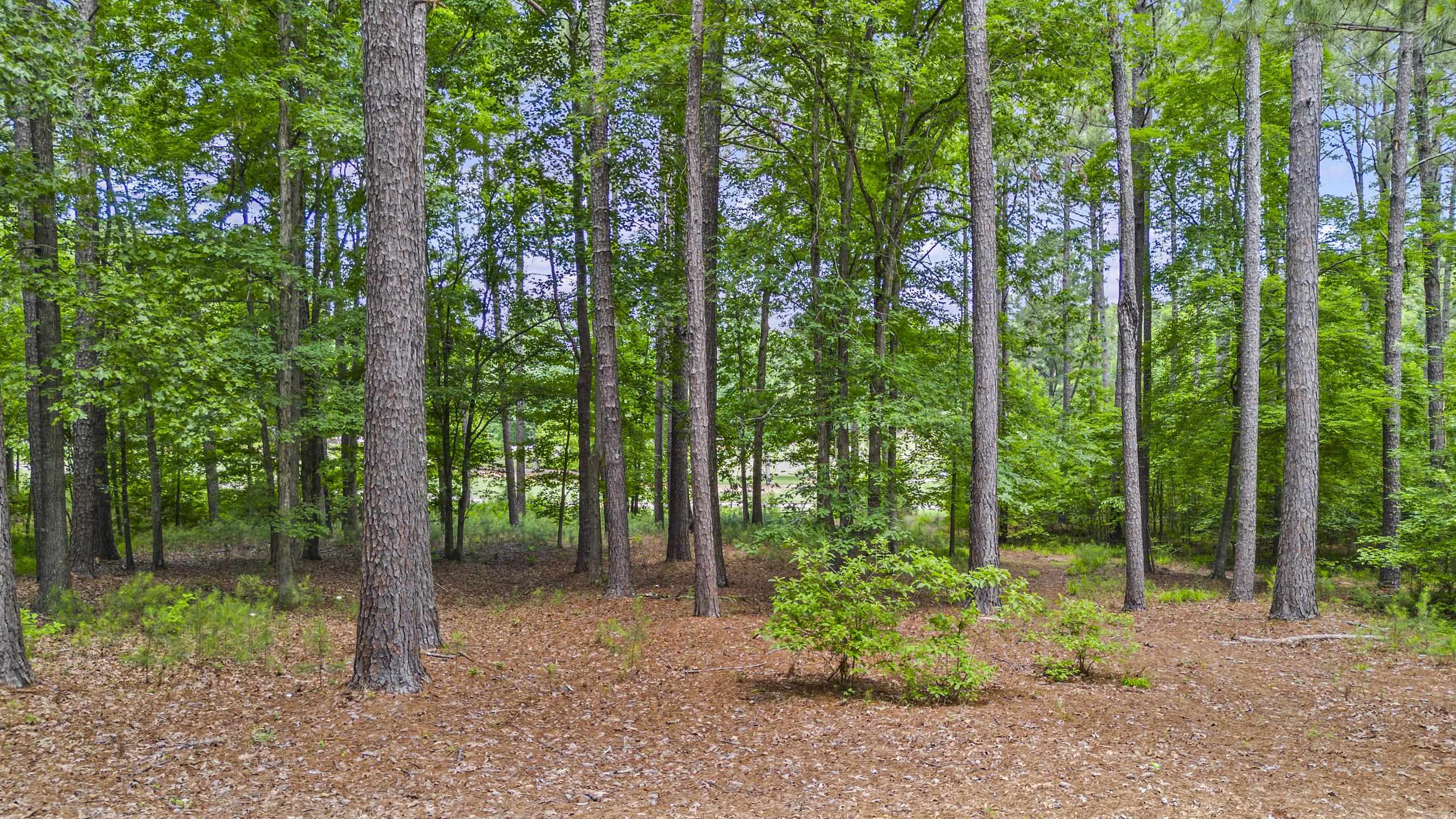 144 Hopeton Lane image 13