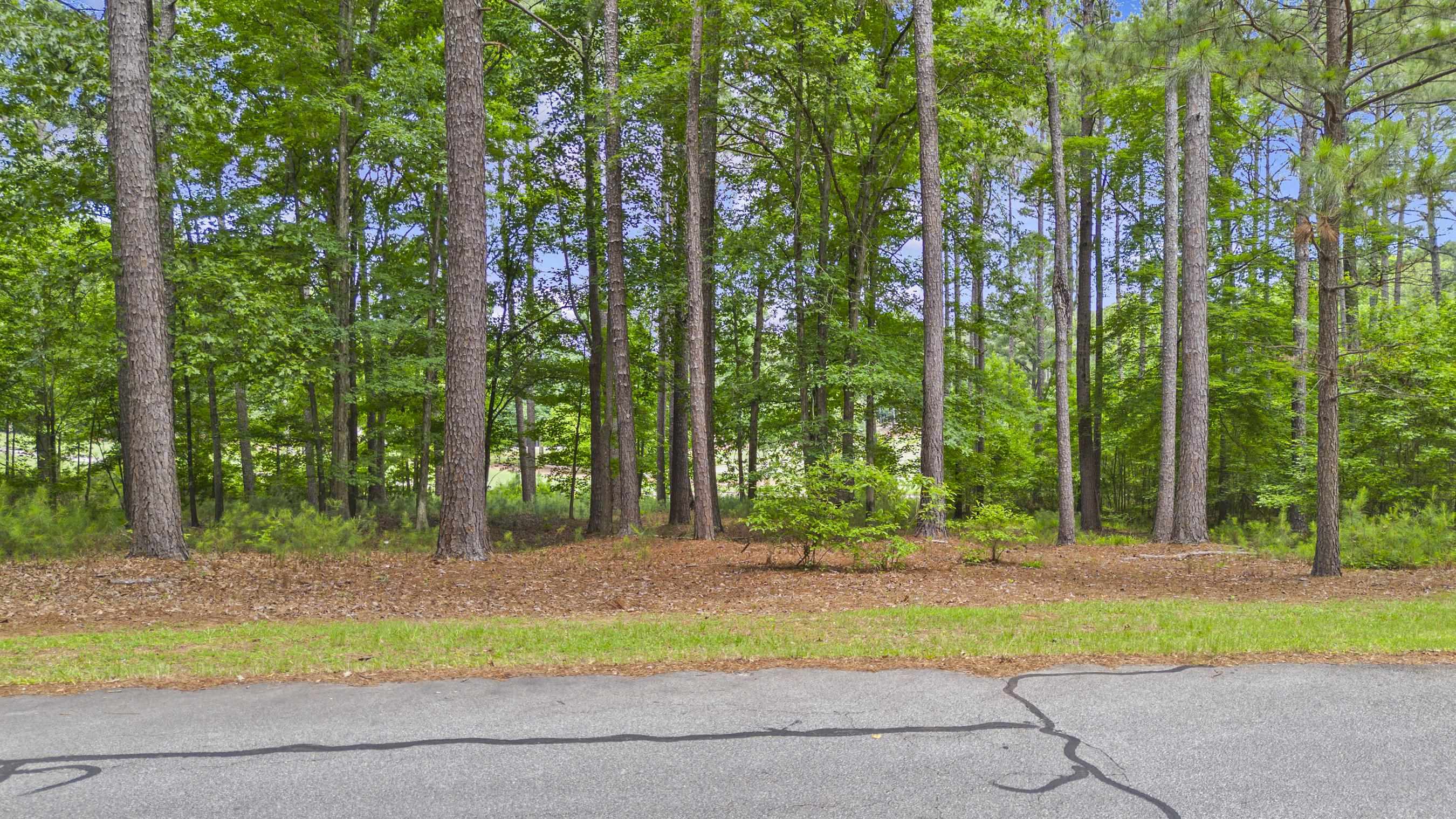 144 Hopeton Lane image 14