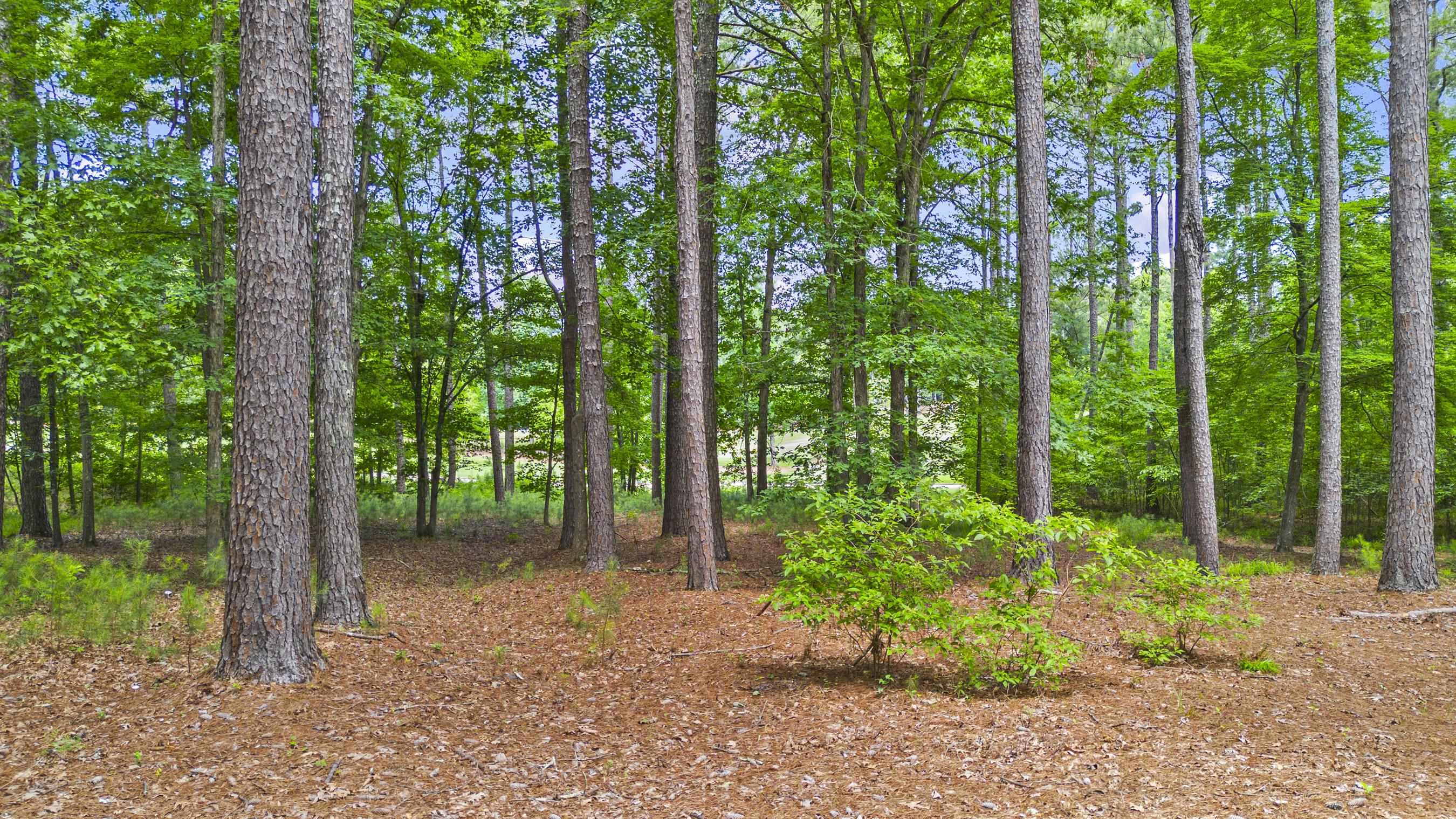144 Hopeton Lane image 15