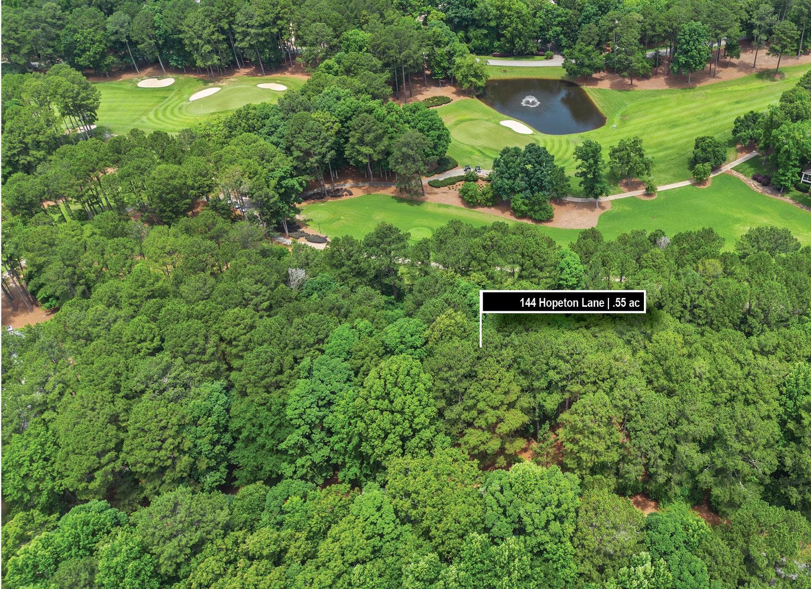 144 Hopeton Lane image 3