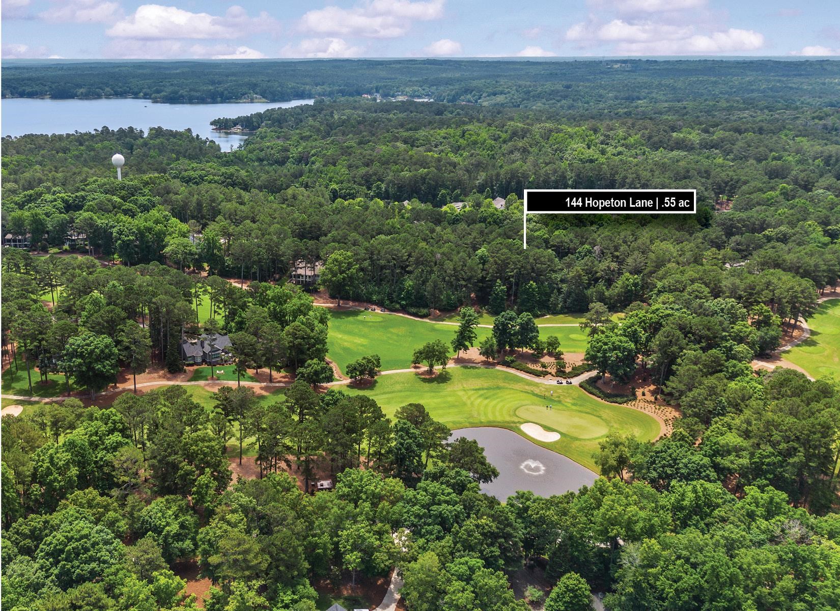 144 Hopeton Lane image 9