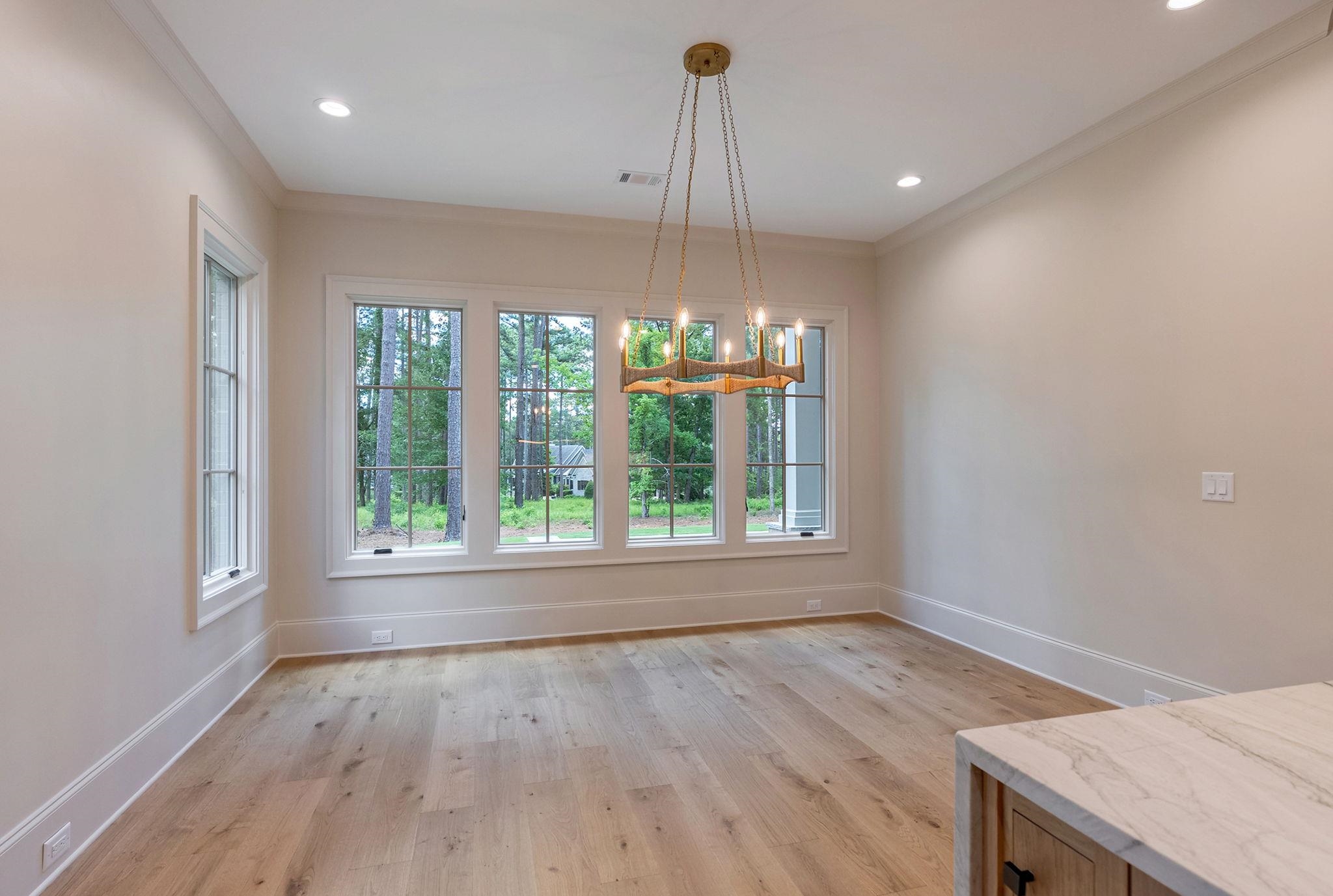 1010 AMASA LANE image 20
