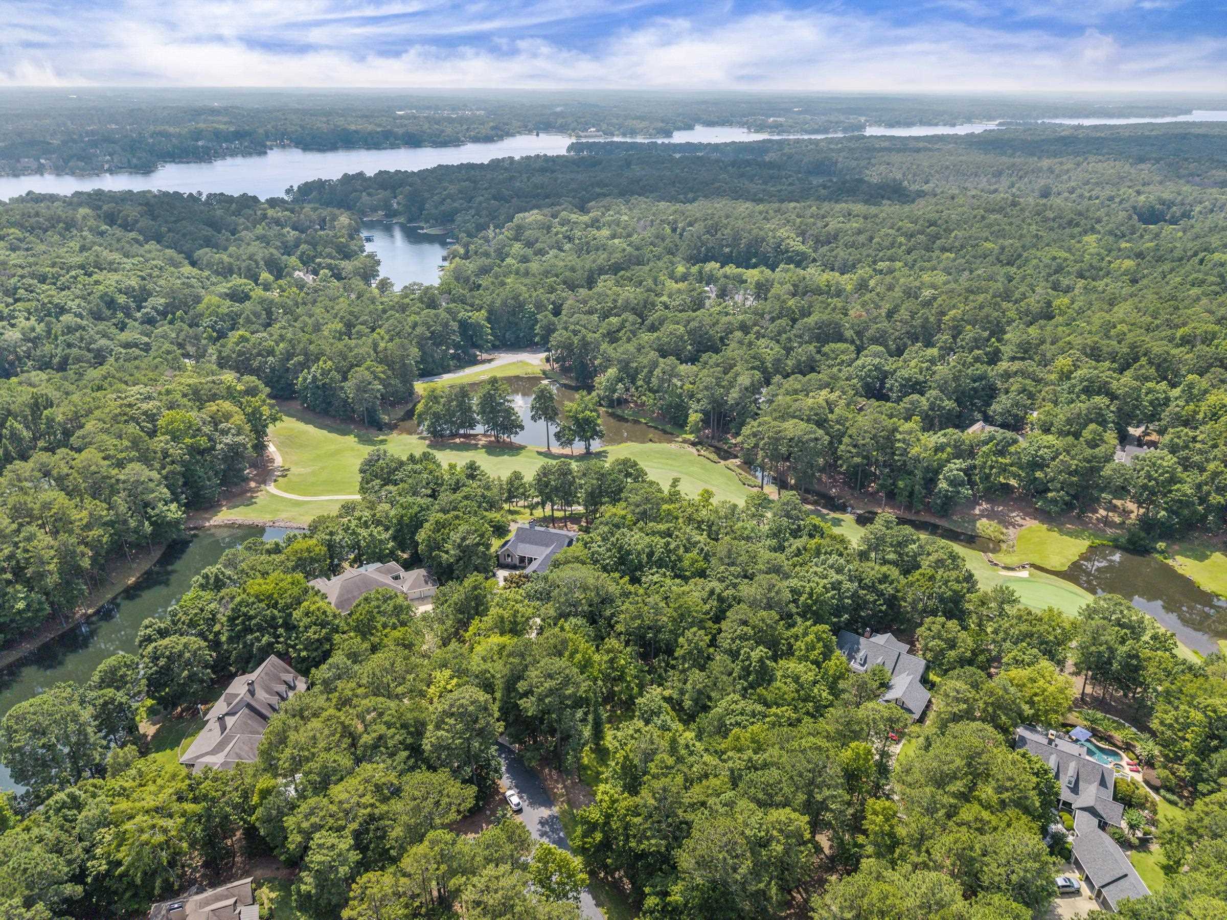 1091 Hardwood Hollow image 11