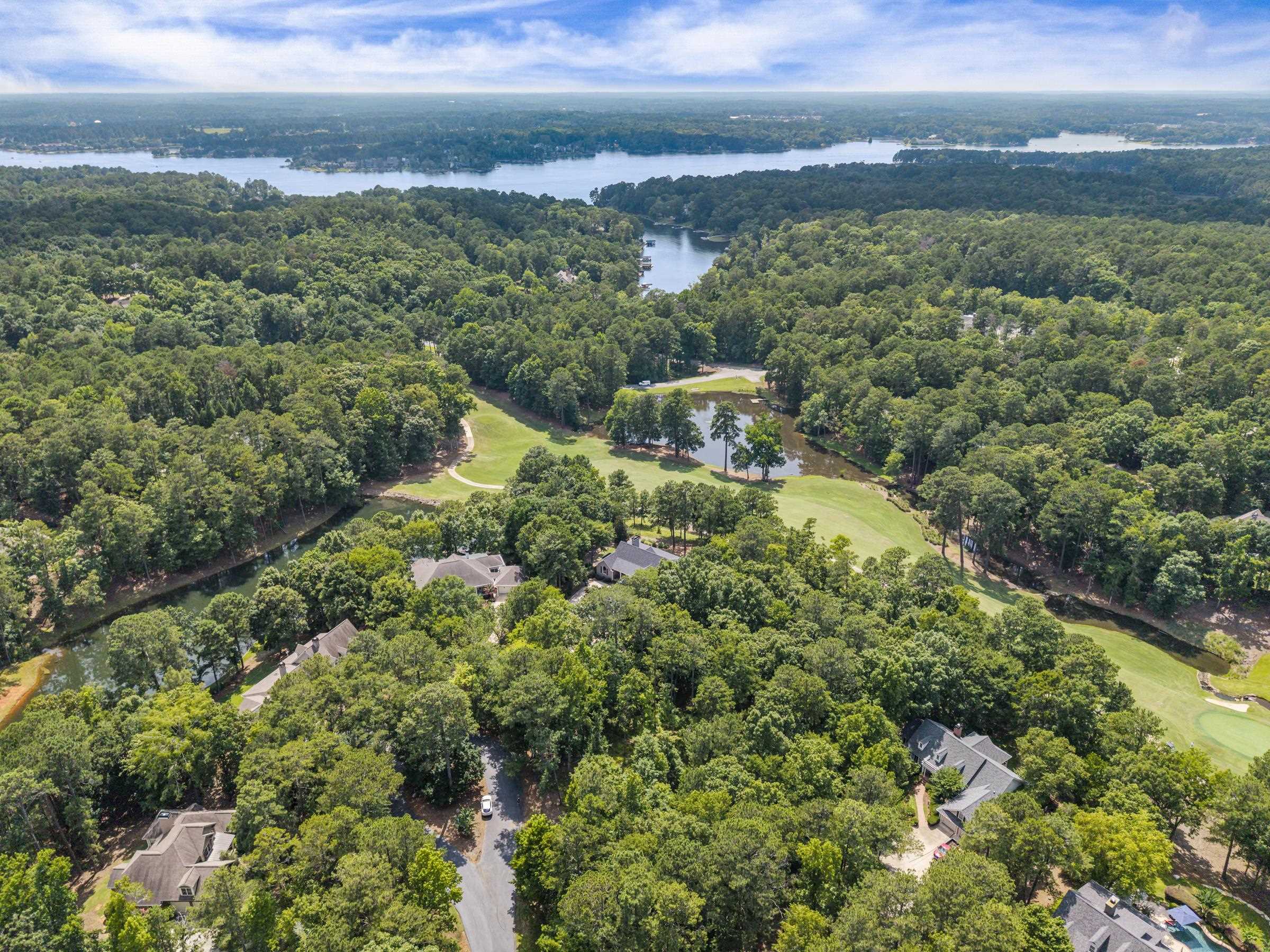 1091 Hardwood Hollow image 12