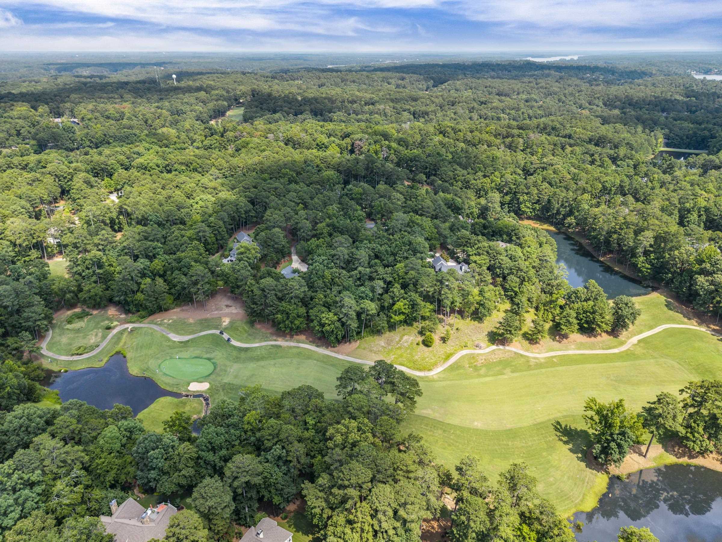 1091 Hardwood Hollow image 16