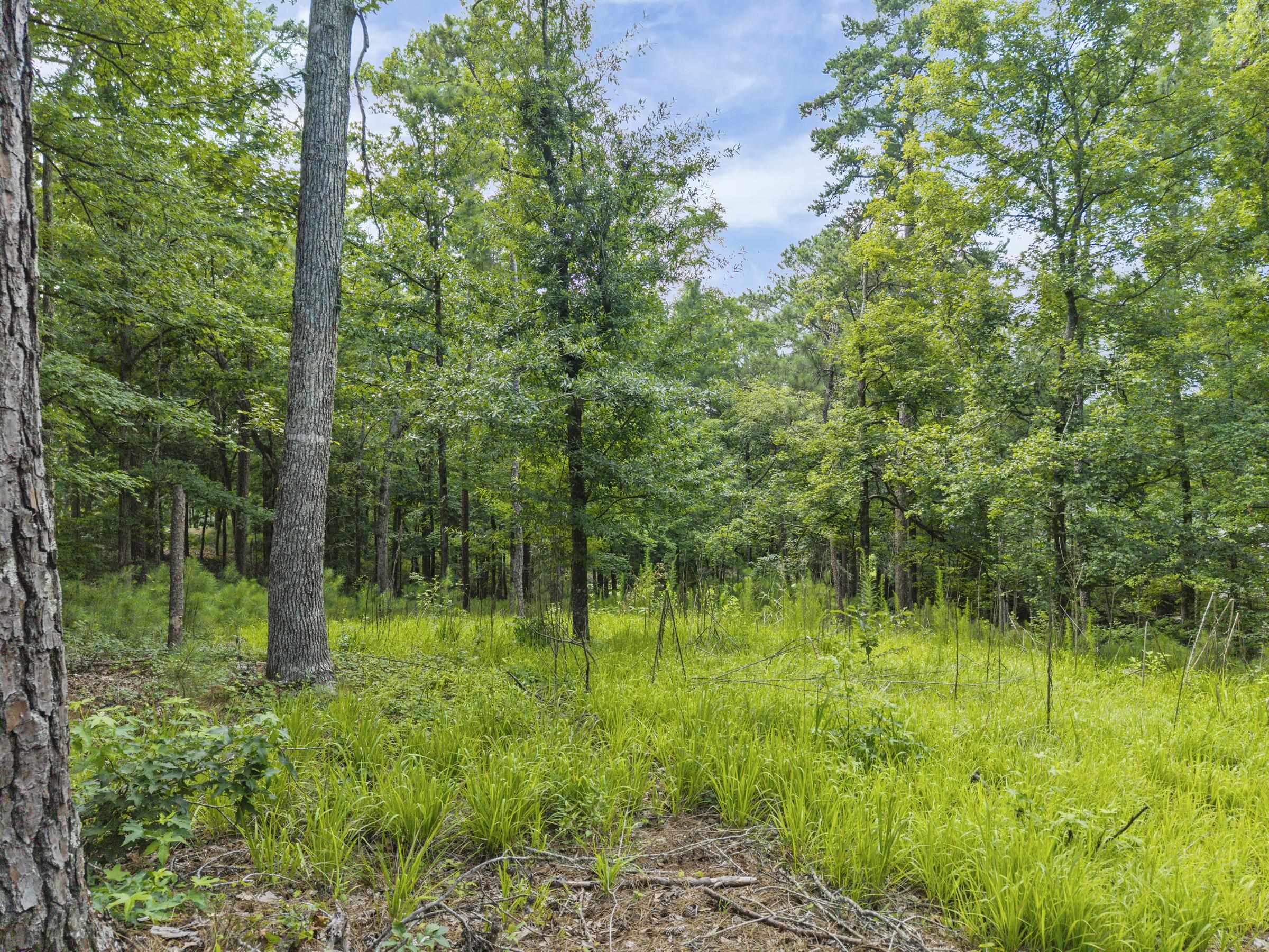 1091 Hardwood Hollow image 26