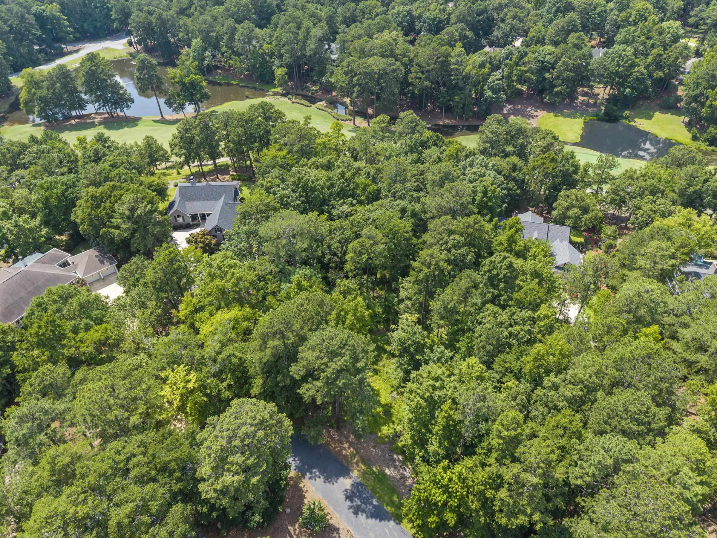 1091 Hardwood Hollow image 9