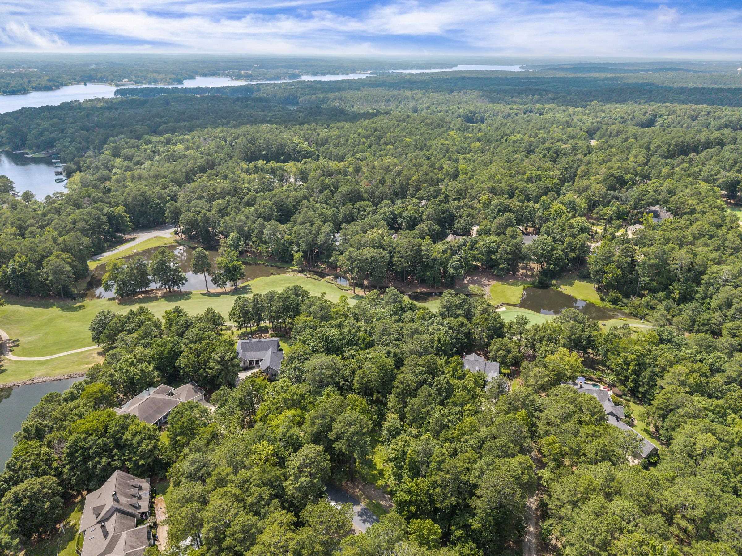 1091 Hardwood Hollow image 10