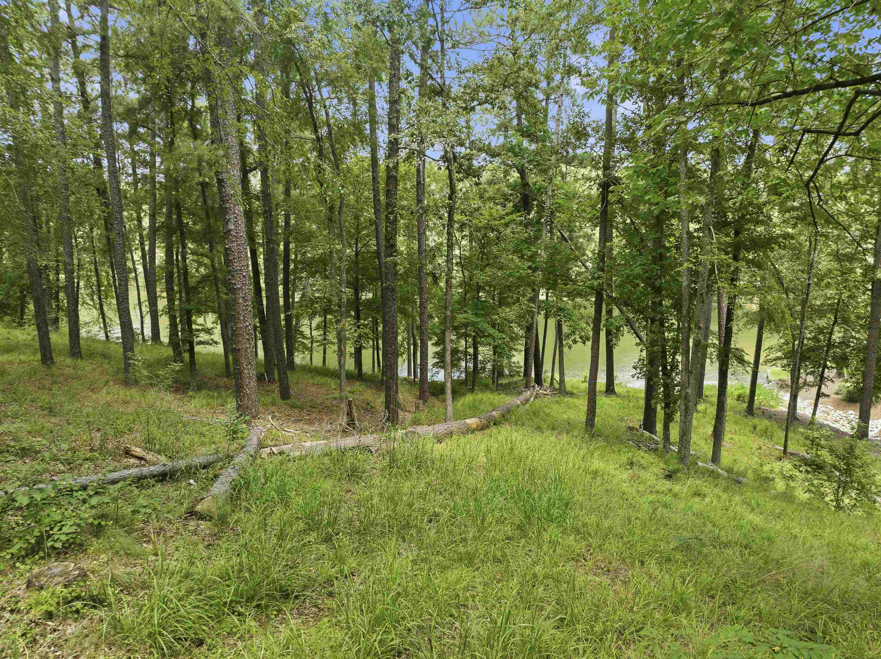 1550 Dogwood Drive image 10