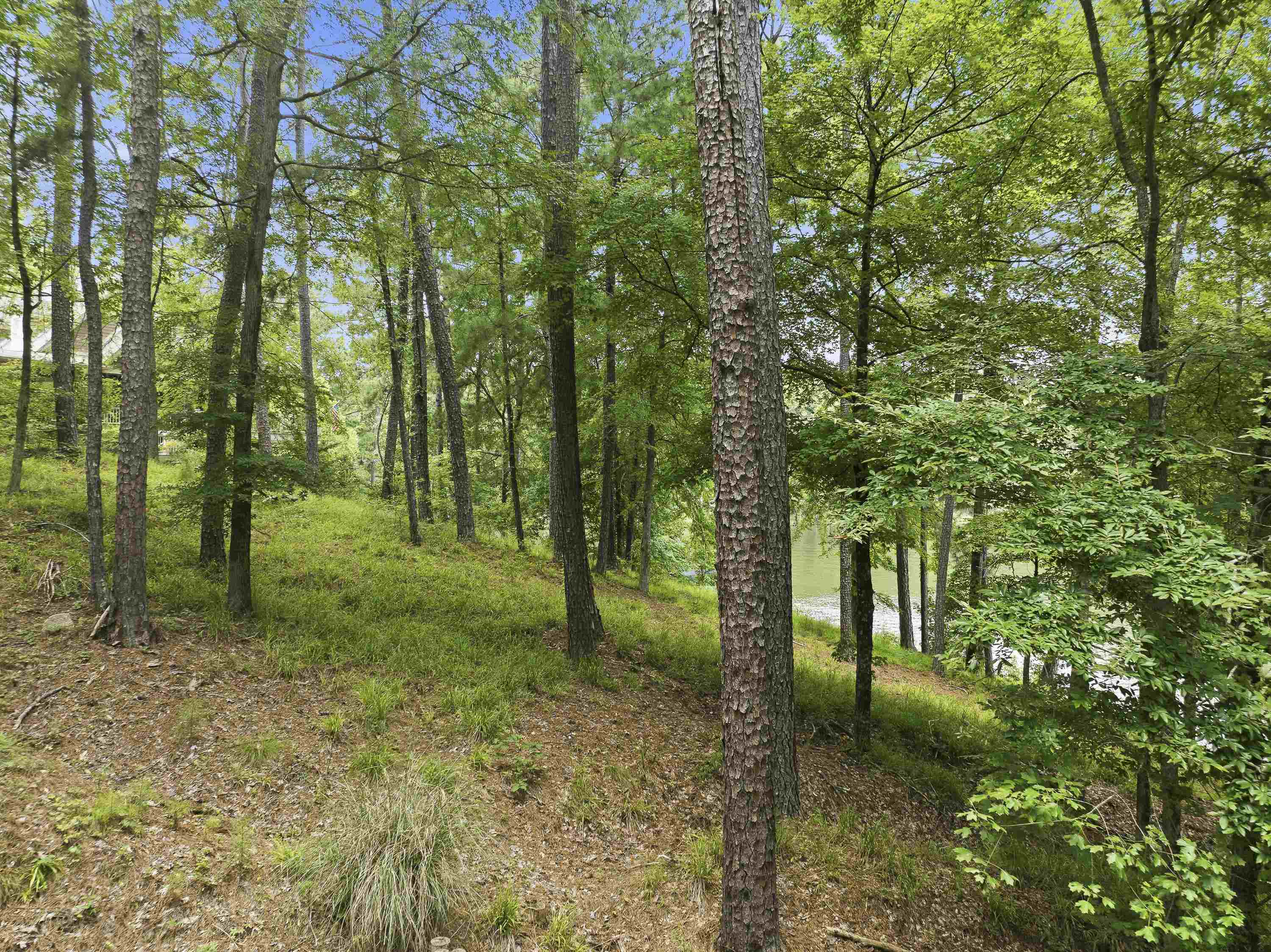 1550 Dogwood Drive image 11